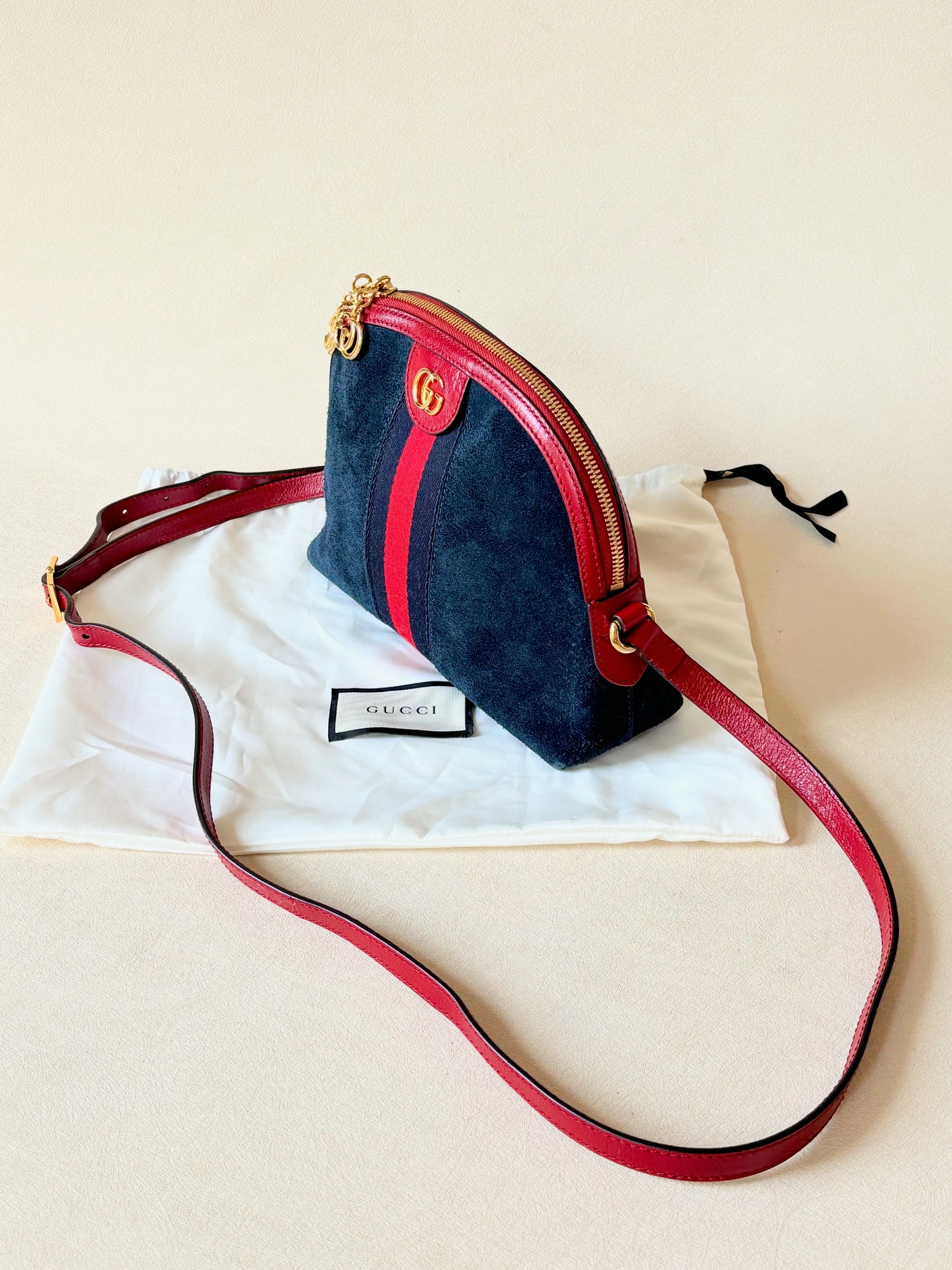 GUCCI Sac Ophidia