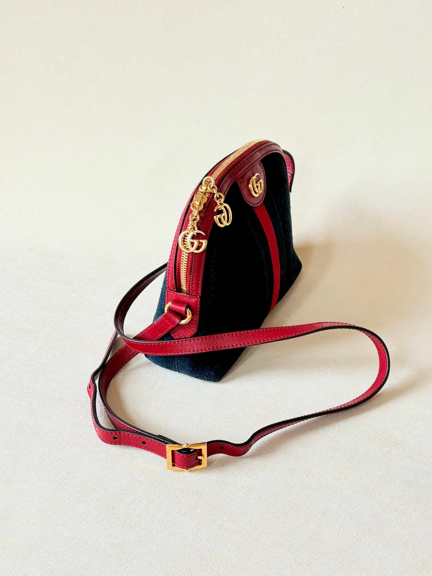 GUCCI Sac Ophidia
