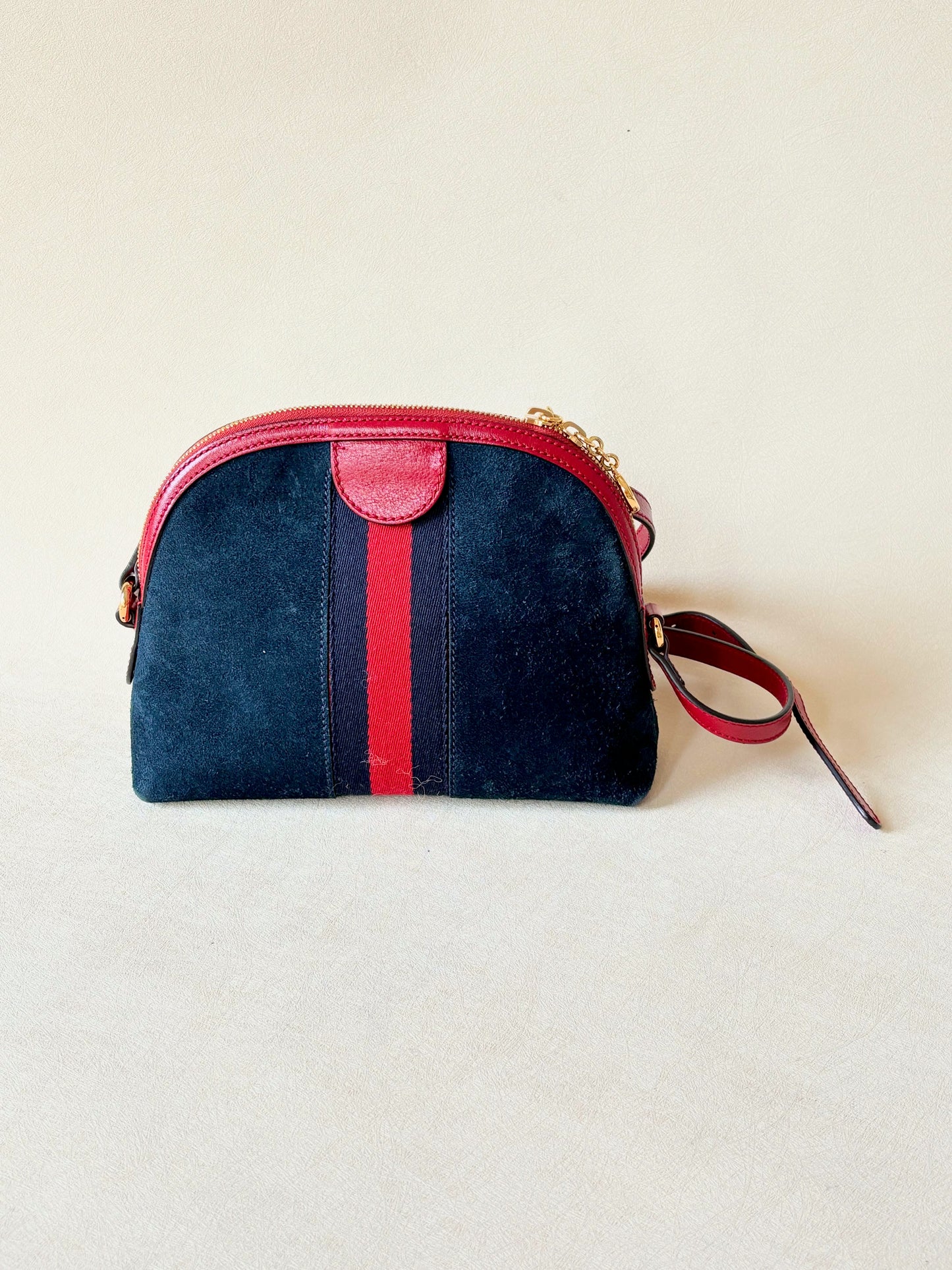 GUCCI Sac Ophidia
