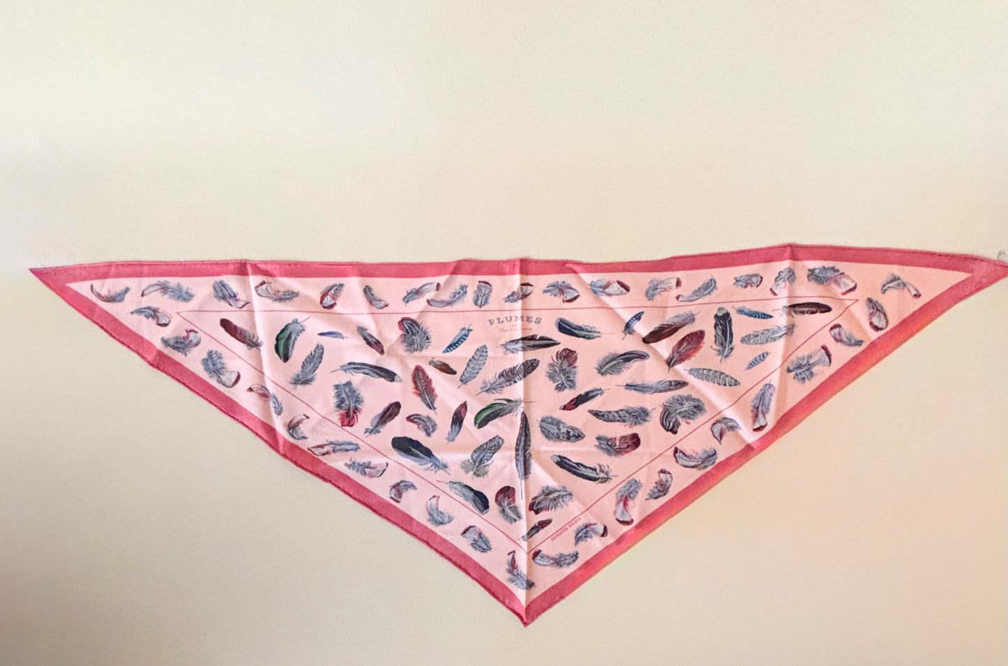HERMÈS Foulard Pointu