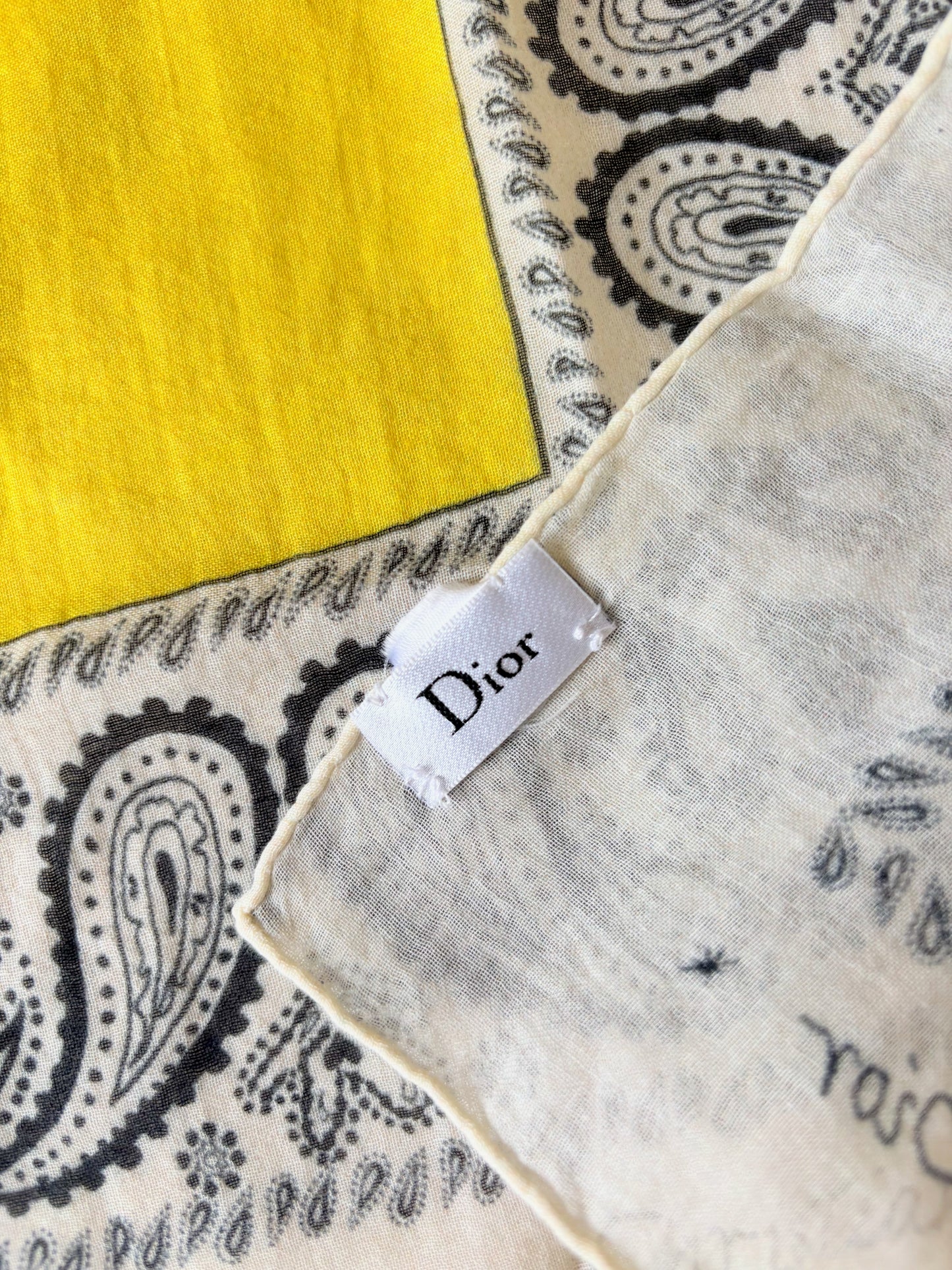 DIOR Foulard Bandana