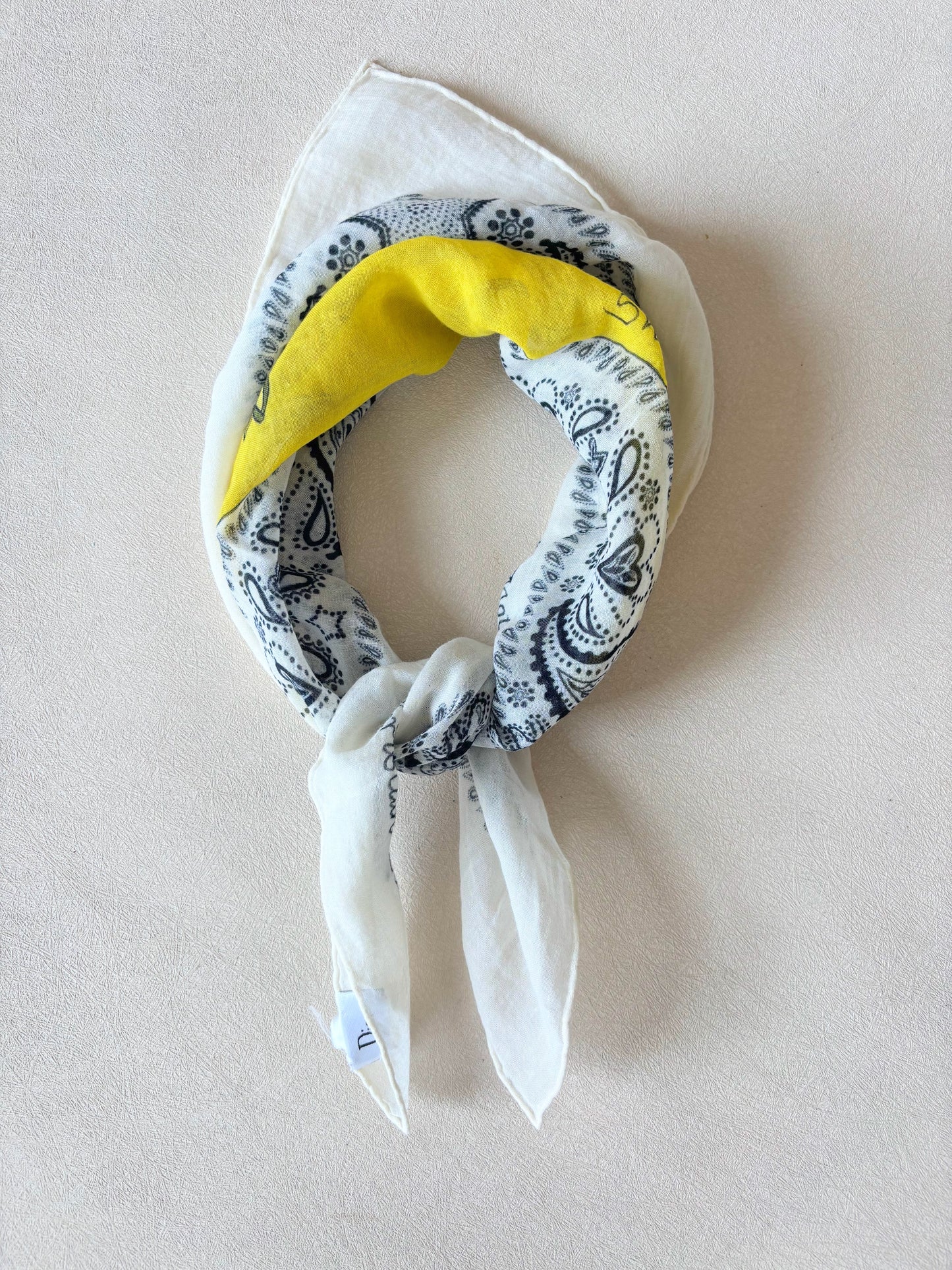 DIOR Foulard Bandana