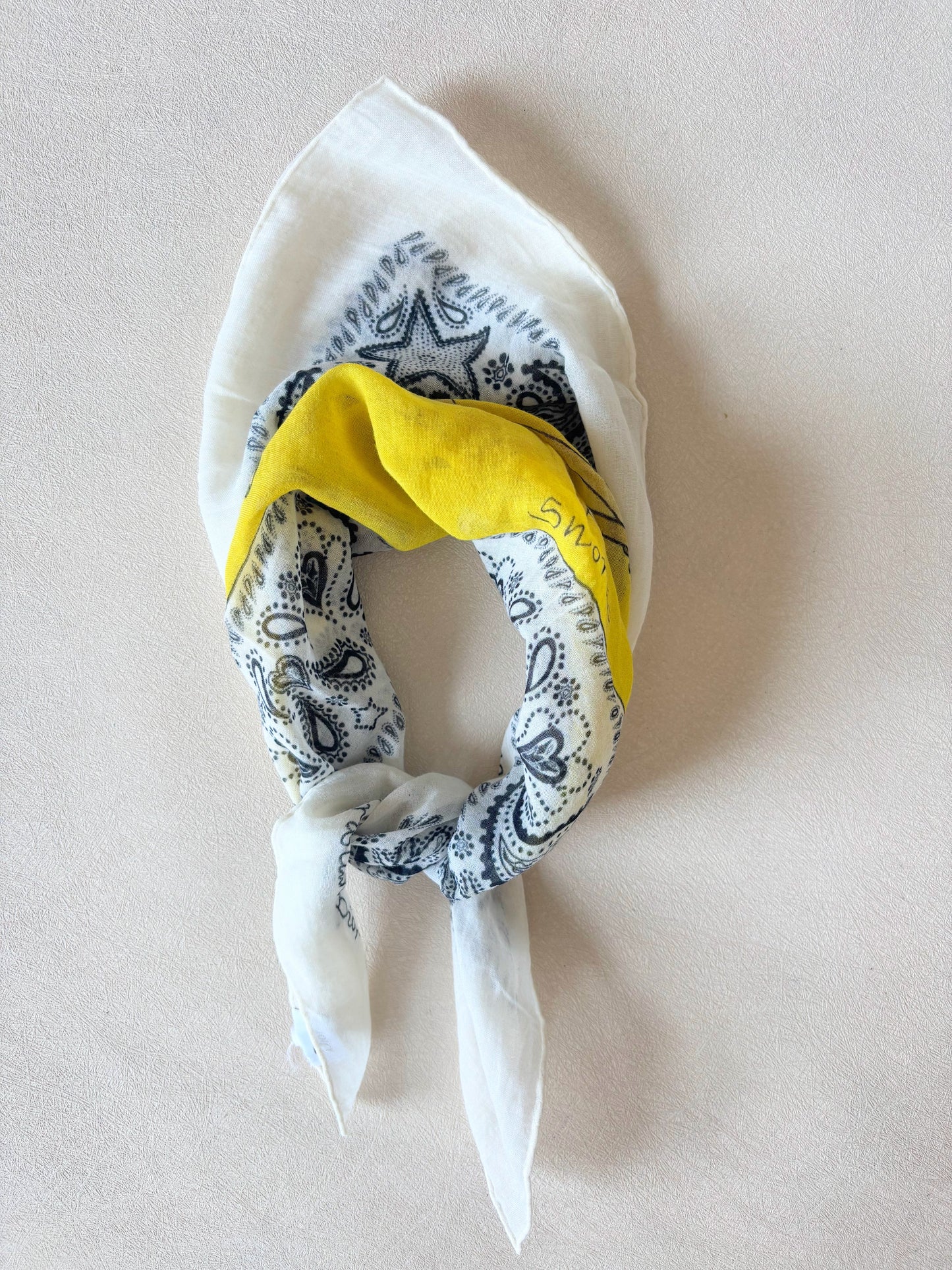 DIOR Foulard Bandana