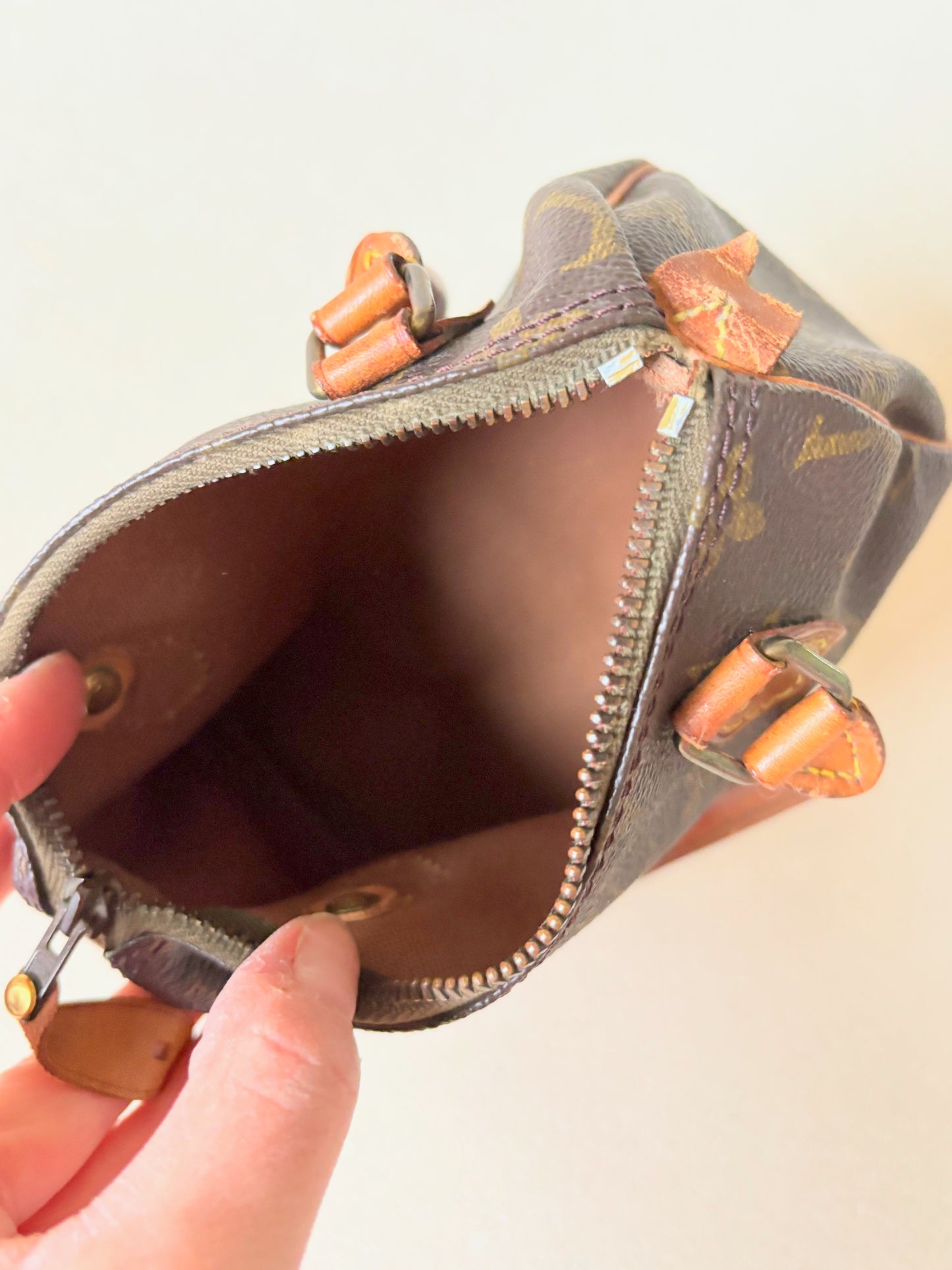 LOUIS VUITTON Nano Speedy