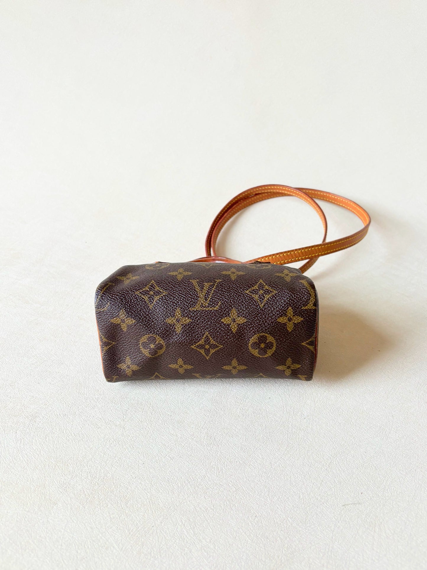 LOUIS VUITTON Nano Speedy