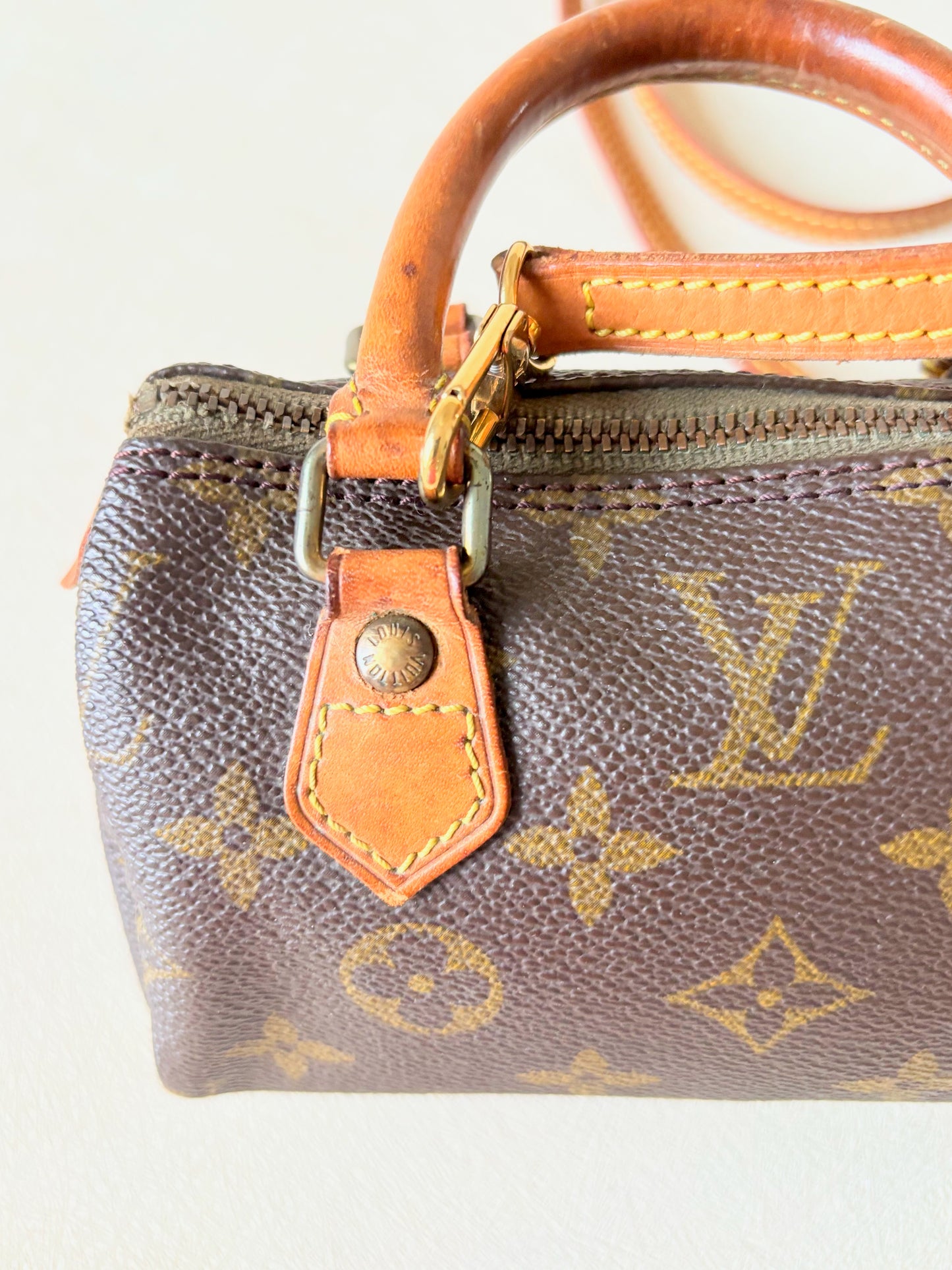 LOUIS VUITTON Nano Speedy