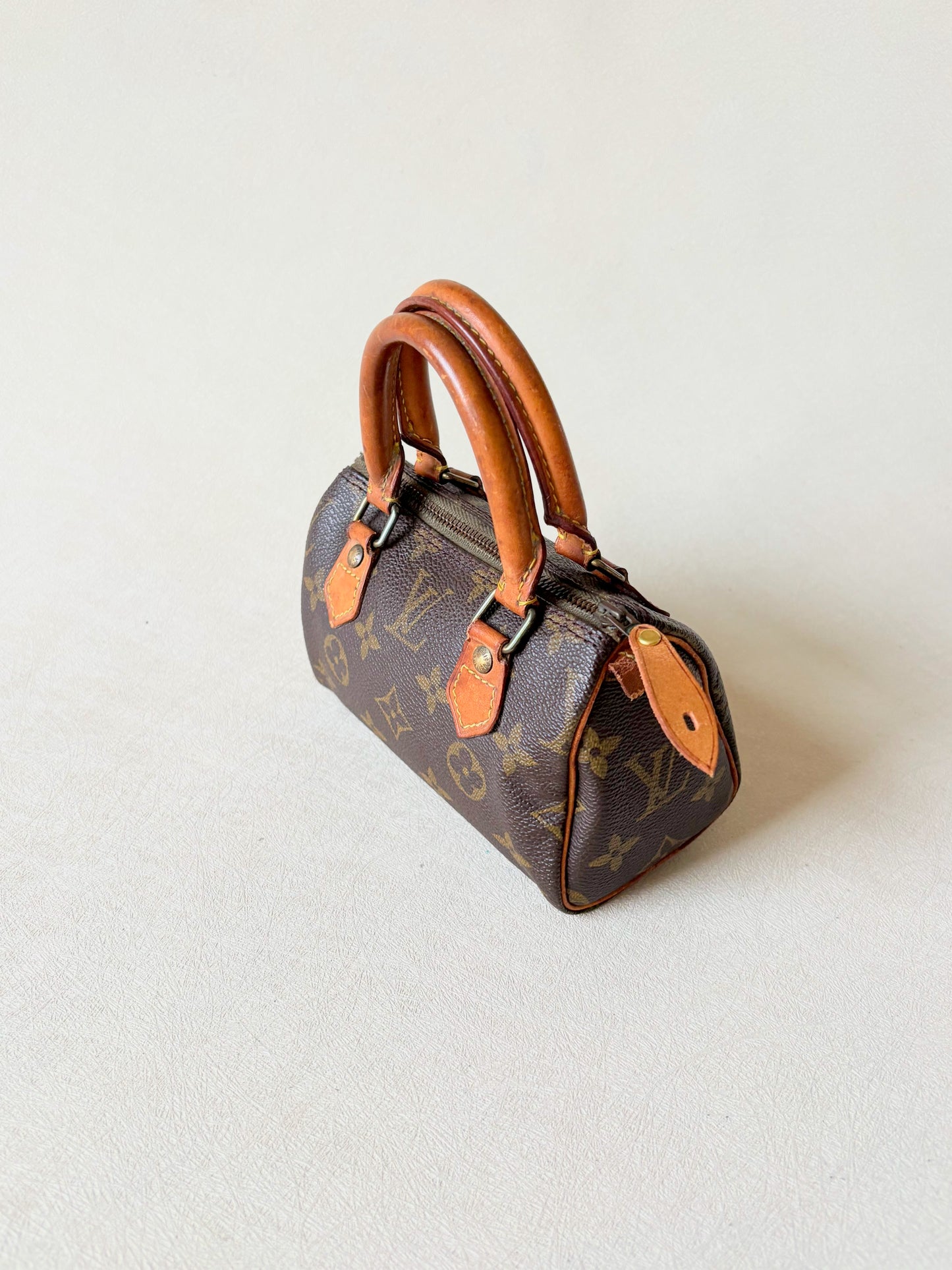 LOUIS VUITTON Nano Speedy