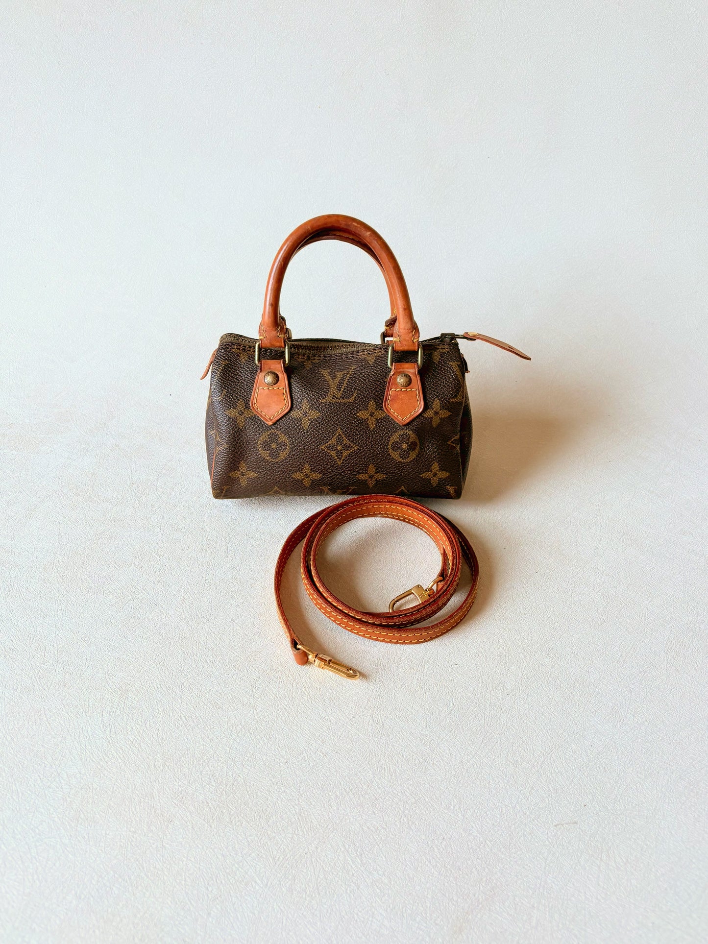 LOUIS VUITTON Nano Speedy