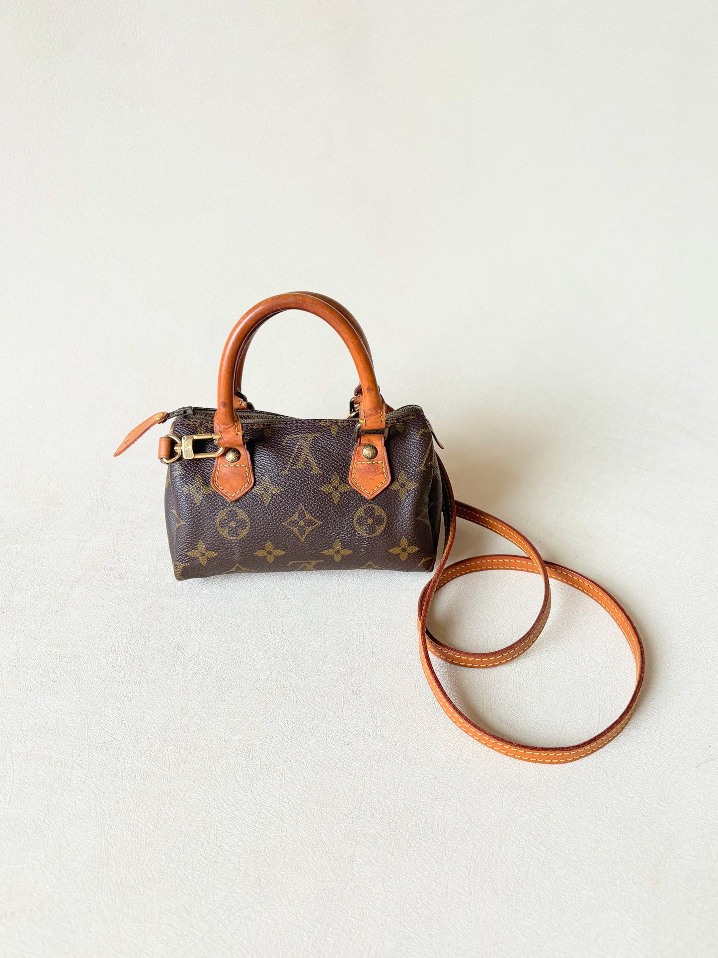 LOUIS VUITTON Nano Speedy