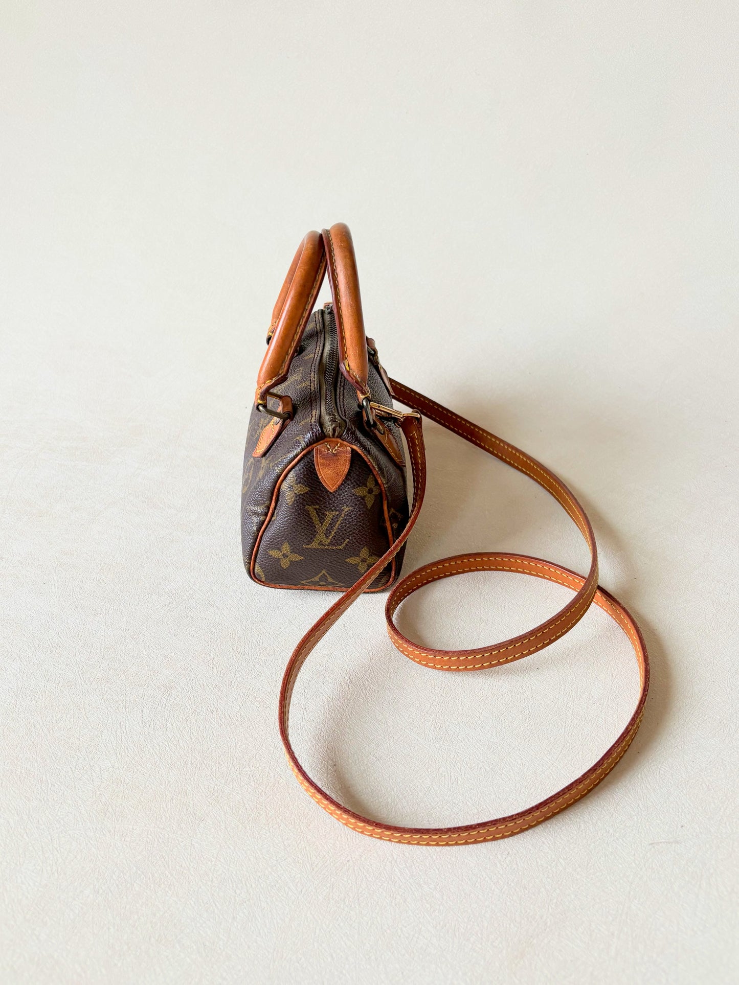 LOUIS VUITTON Nano Speedy