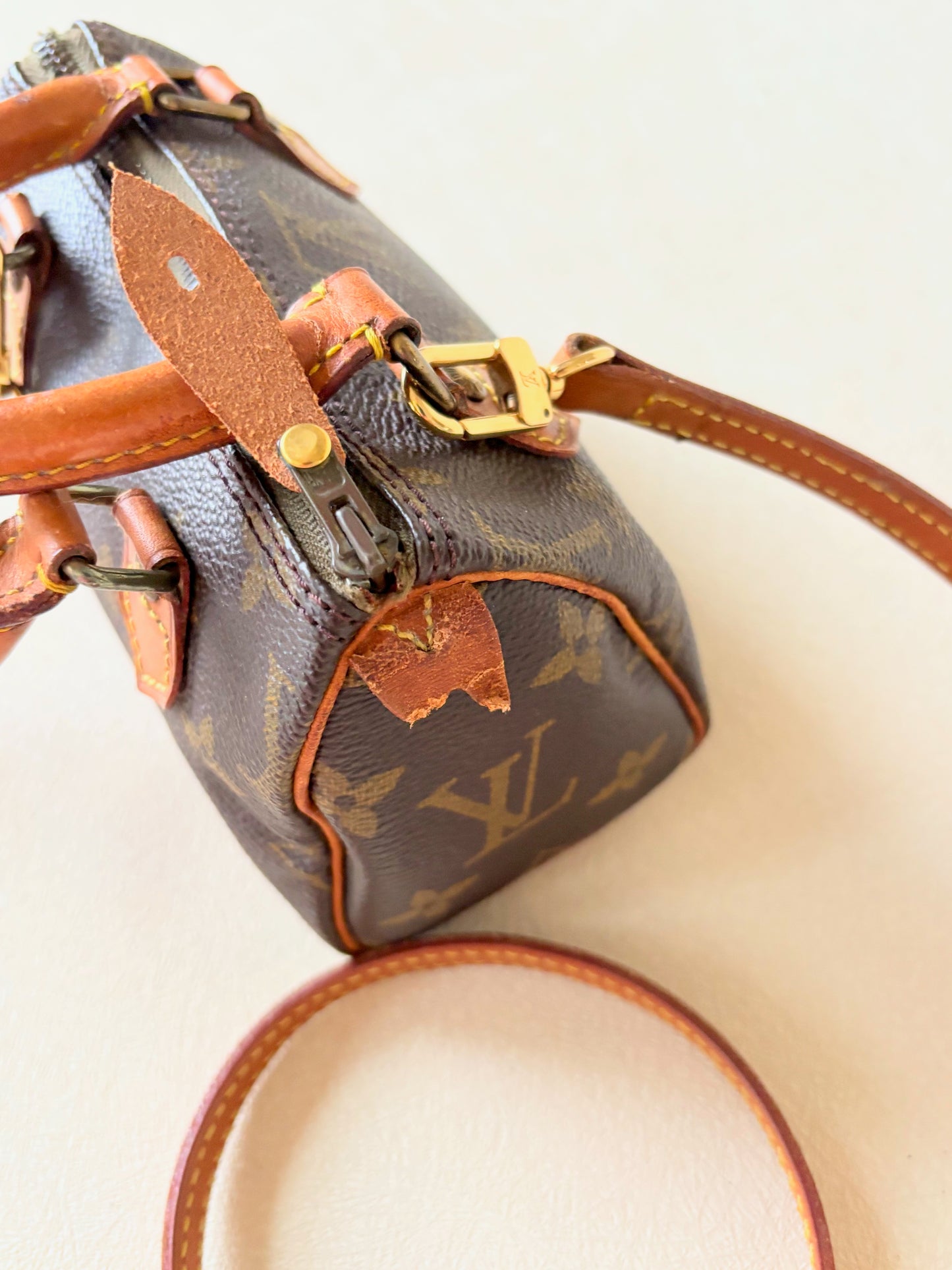 LOUIS VUITTON Nano Speedy