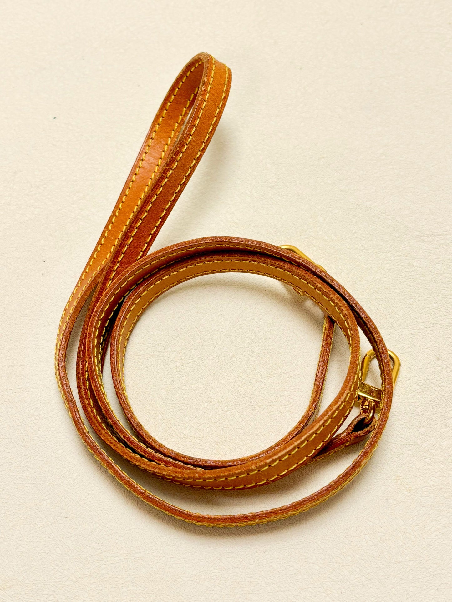 LOUIS VUITTON Bandoulière cuir