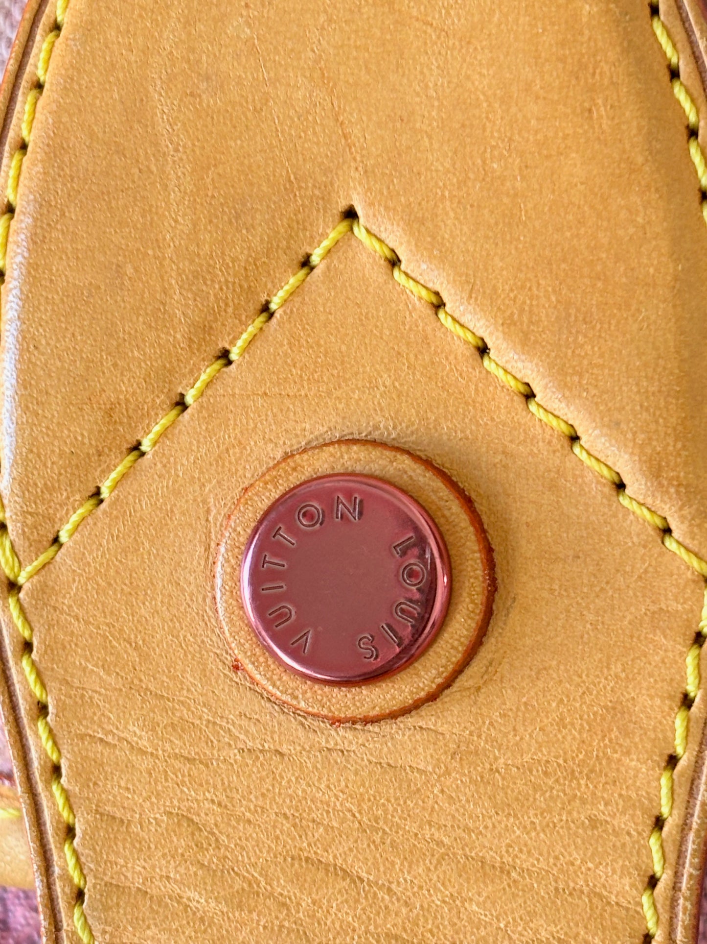 LOUIS VUITTON Sac Sunburst