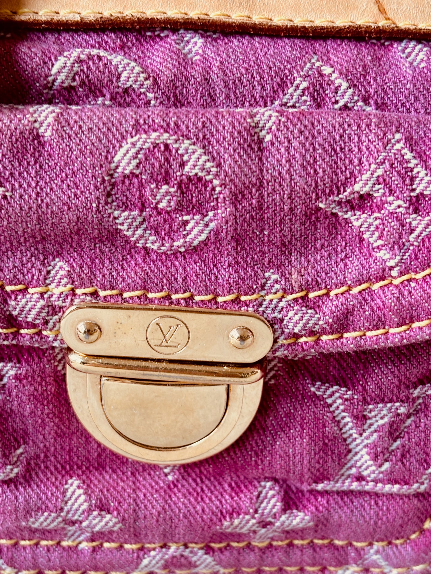 LOUIS VUITTON Néo Speedy