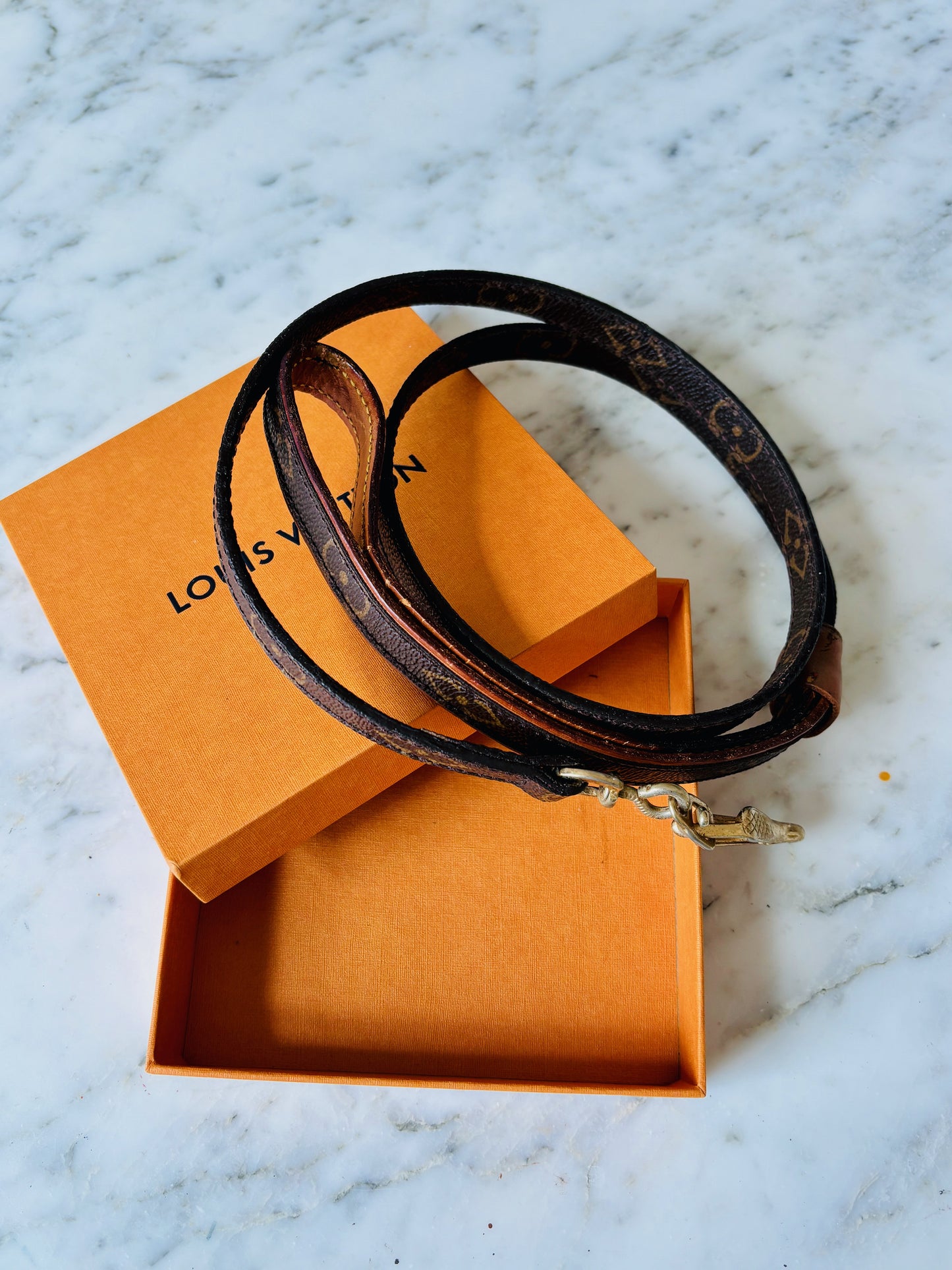LOUIS VUITTON Laisse Baxter