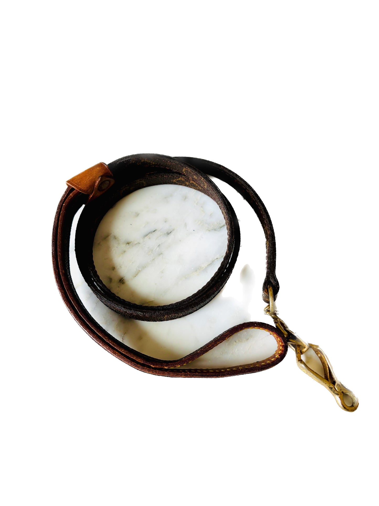LOUIS VUITTON Laisse Baxter