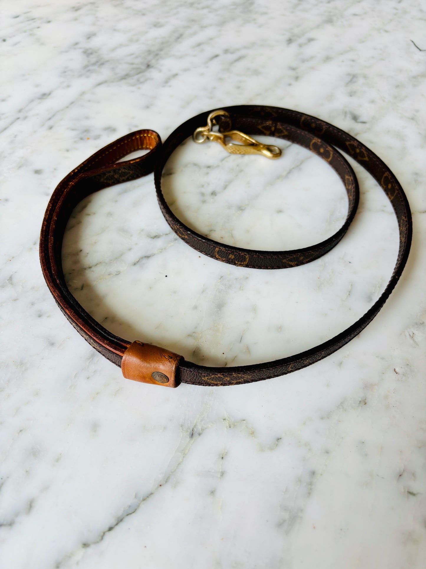LOUIS VUITTON Laisse Baxter
