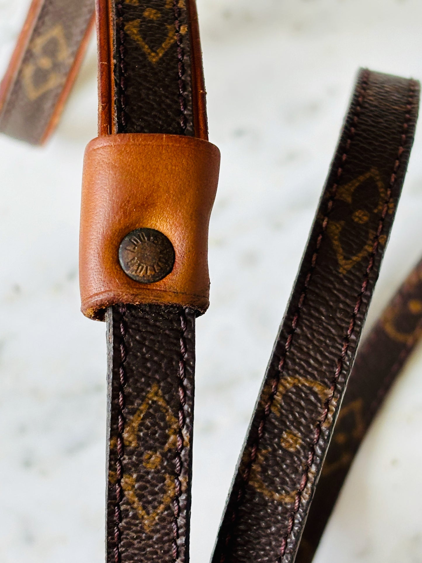 LOUIS VUITTON Laisse Baxter