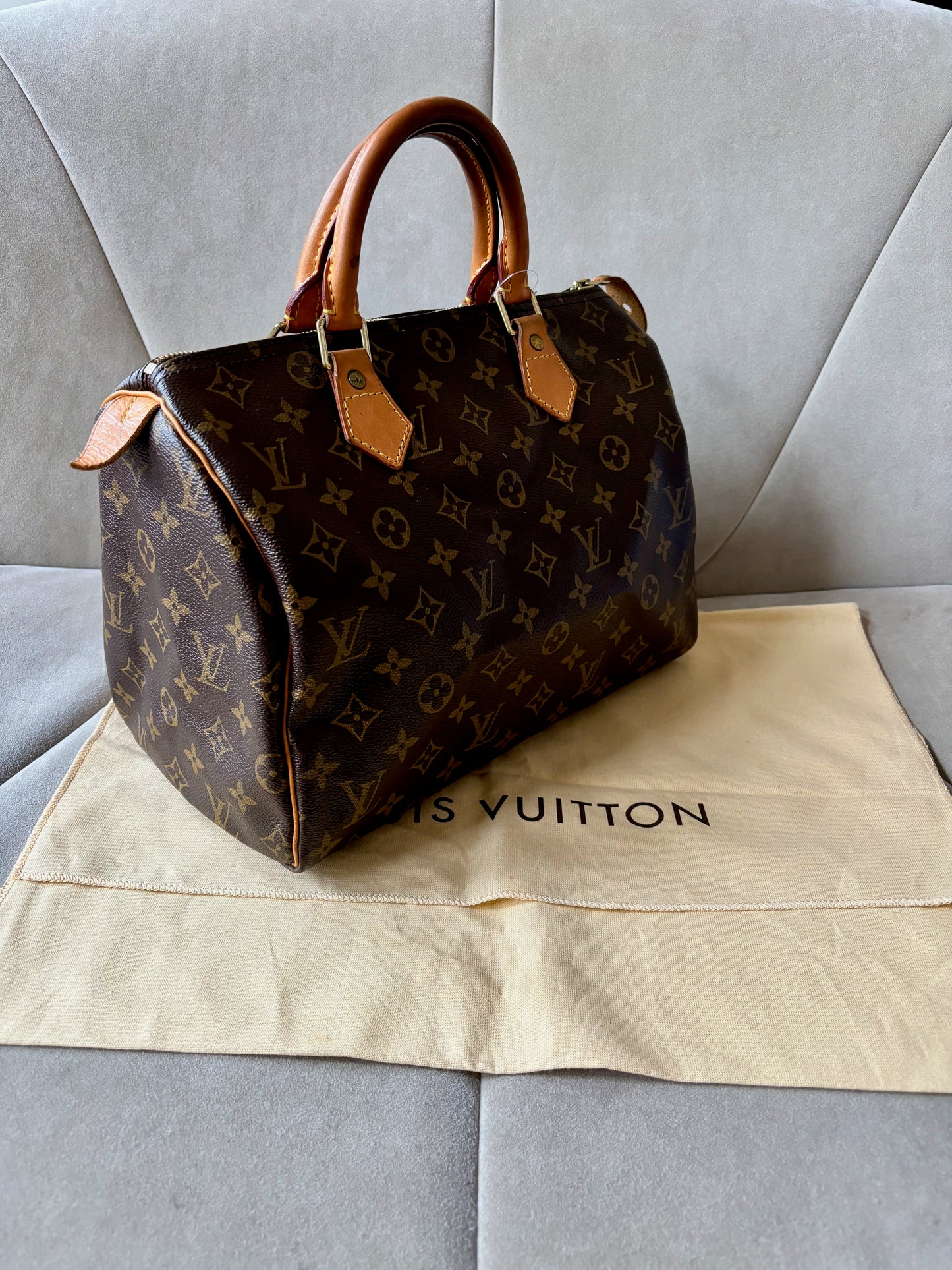 LOUIS VUITTON Speedy 30