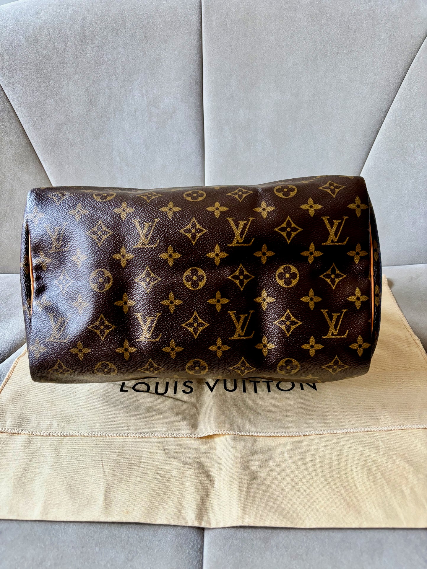 LOUIS VUITTON Speedy 30
