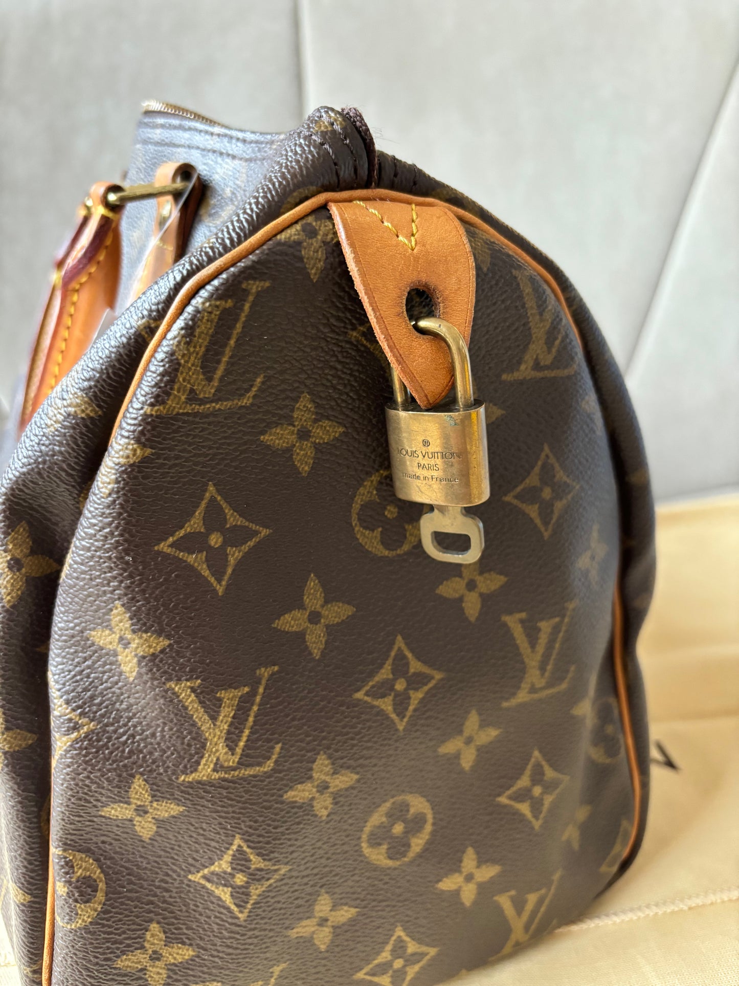 LOUIS VUITTON Speedy 30