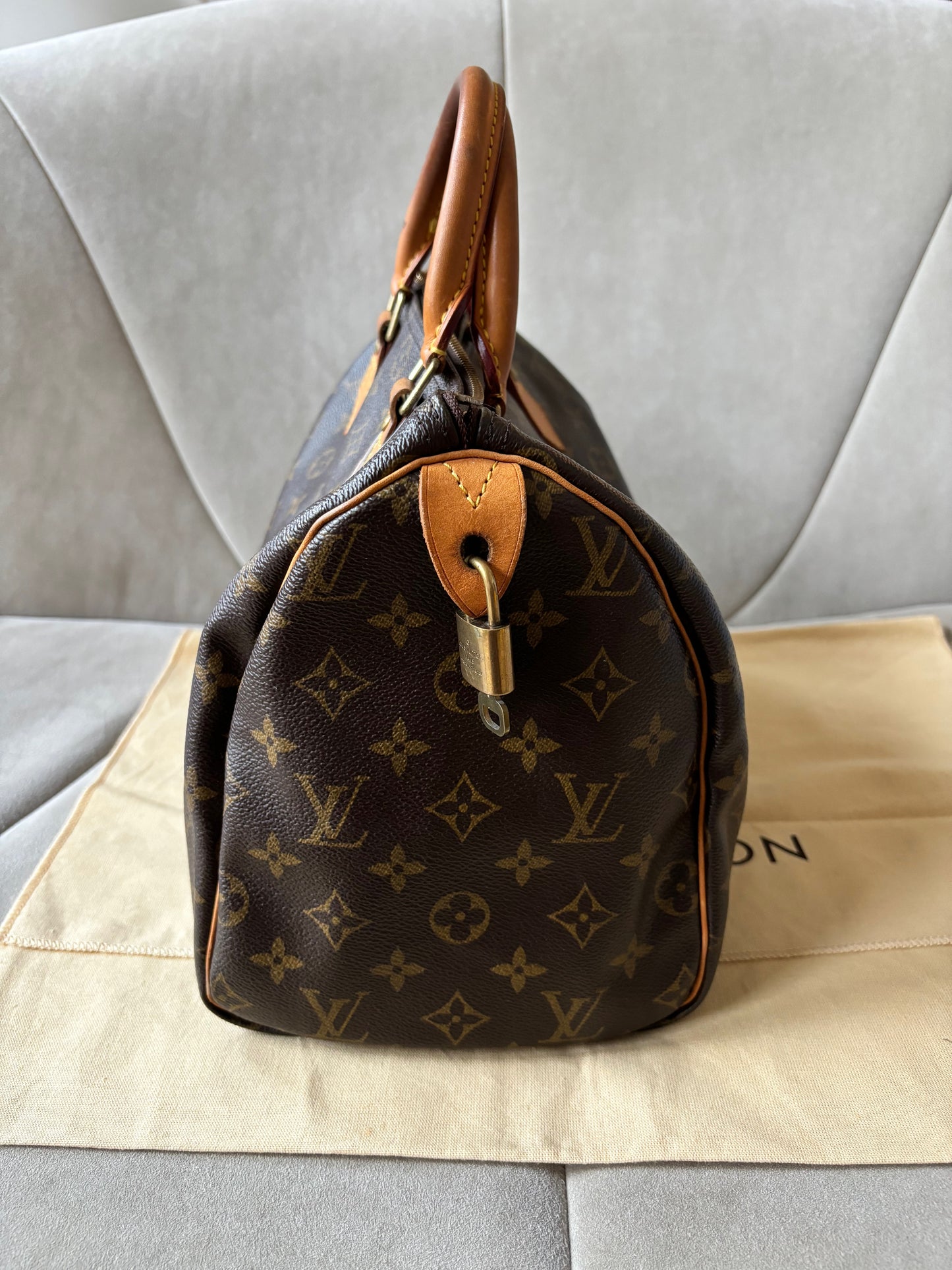 LOUIS VUITTON Speedy 30