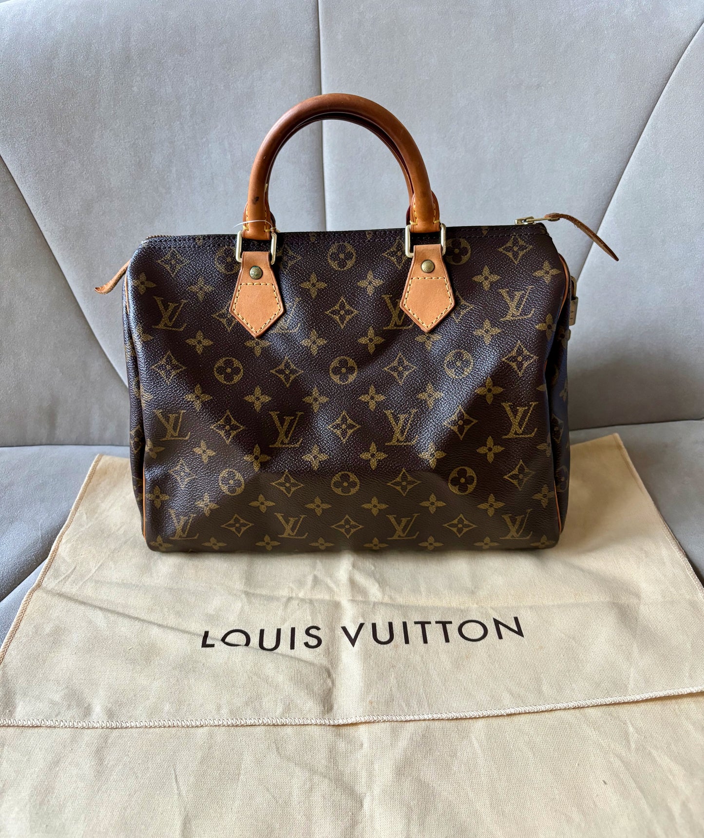LOUIS VUITTON Speedy 30