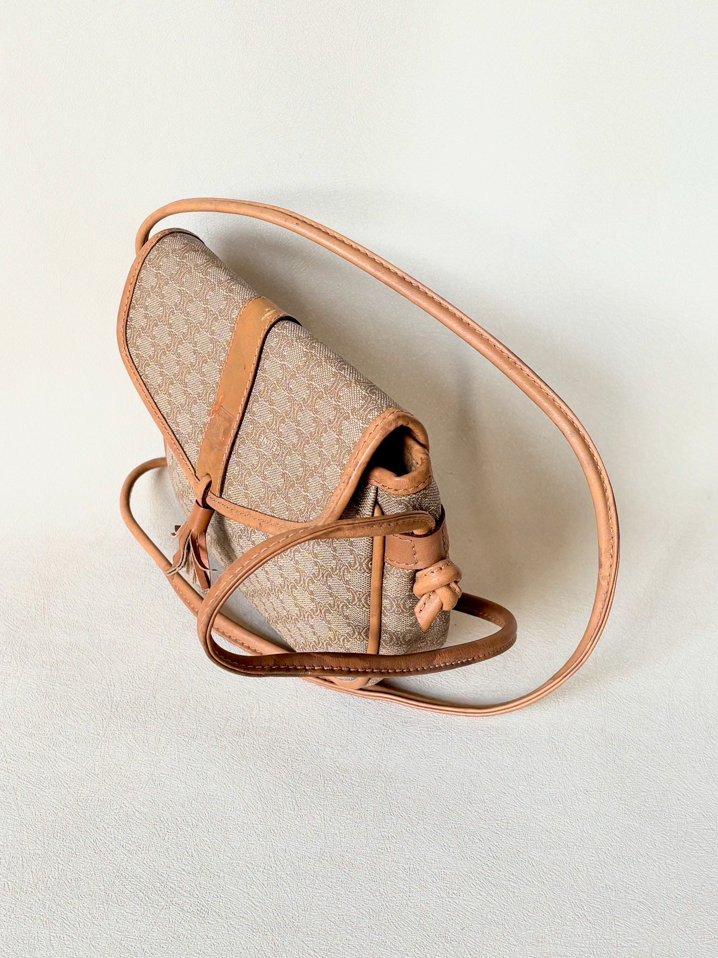 CÉLINE Sac trotteur Triomphe