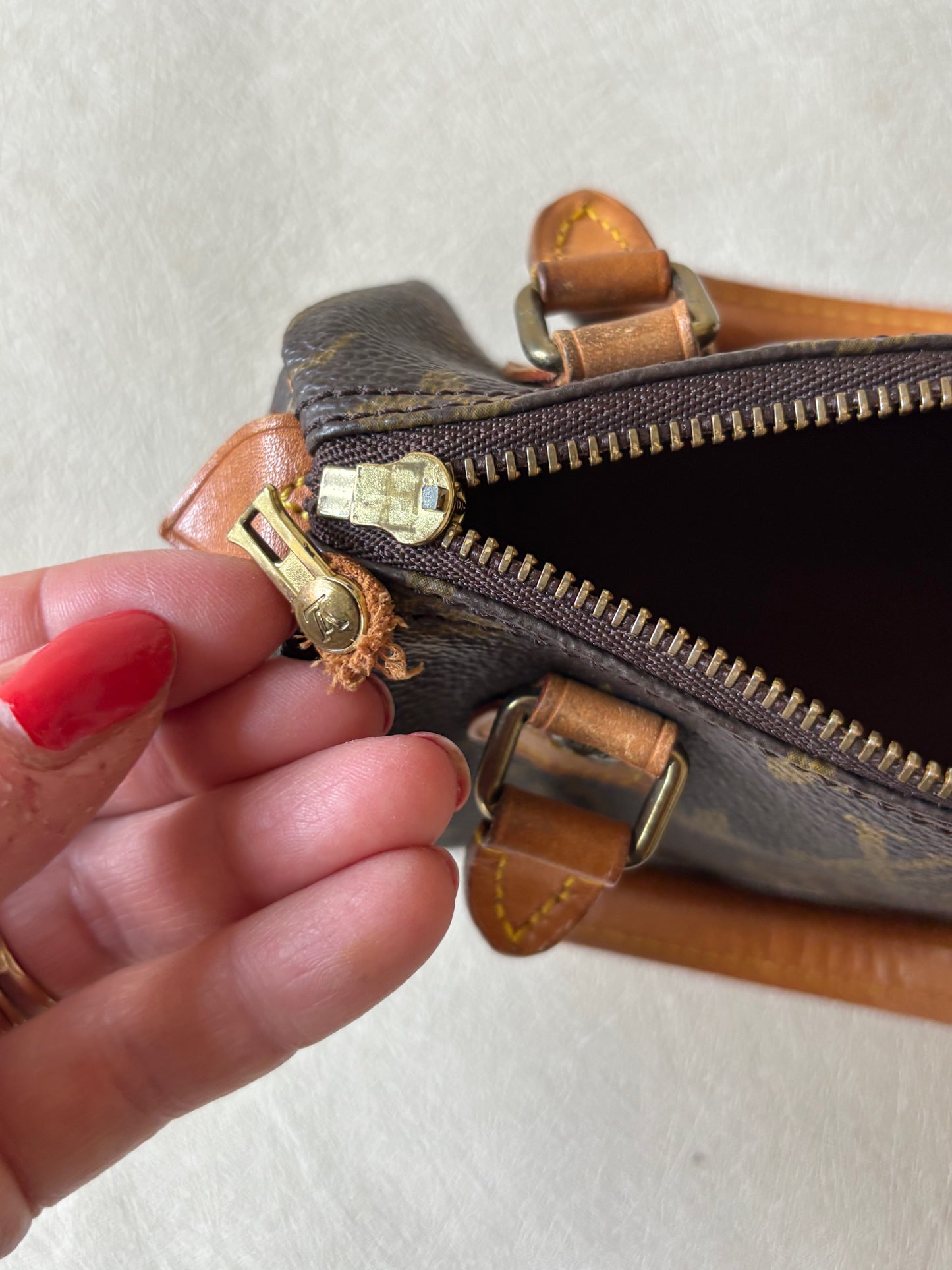 LOUIS VUITTON Nano Speedy