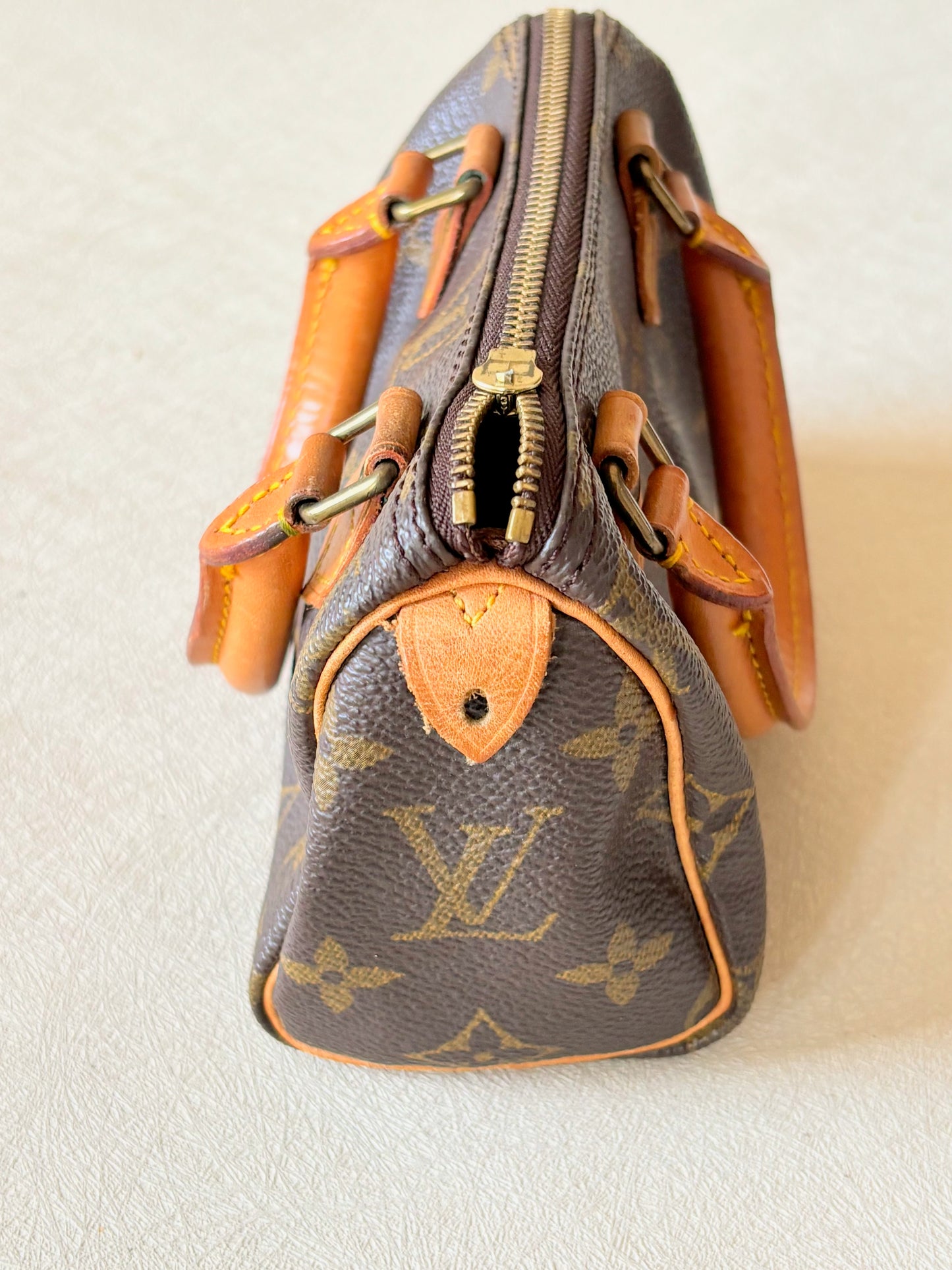 LOUIS VUITTON Nano Speedy