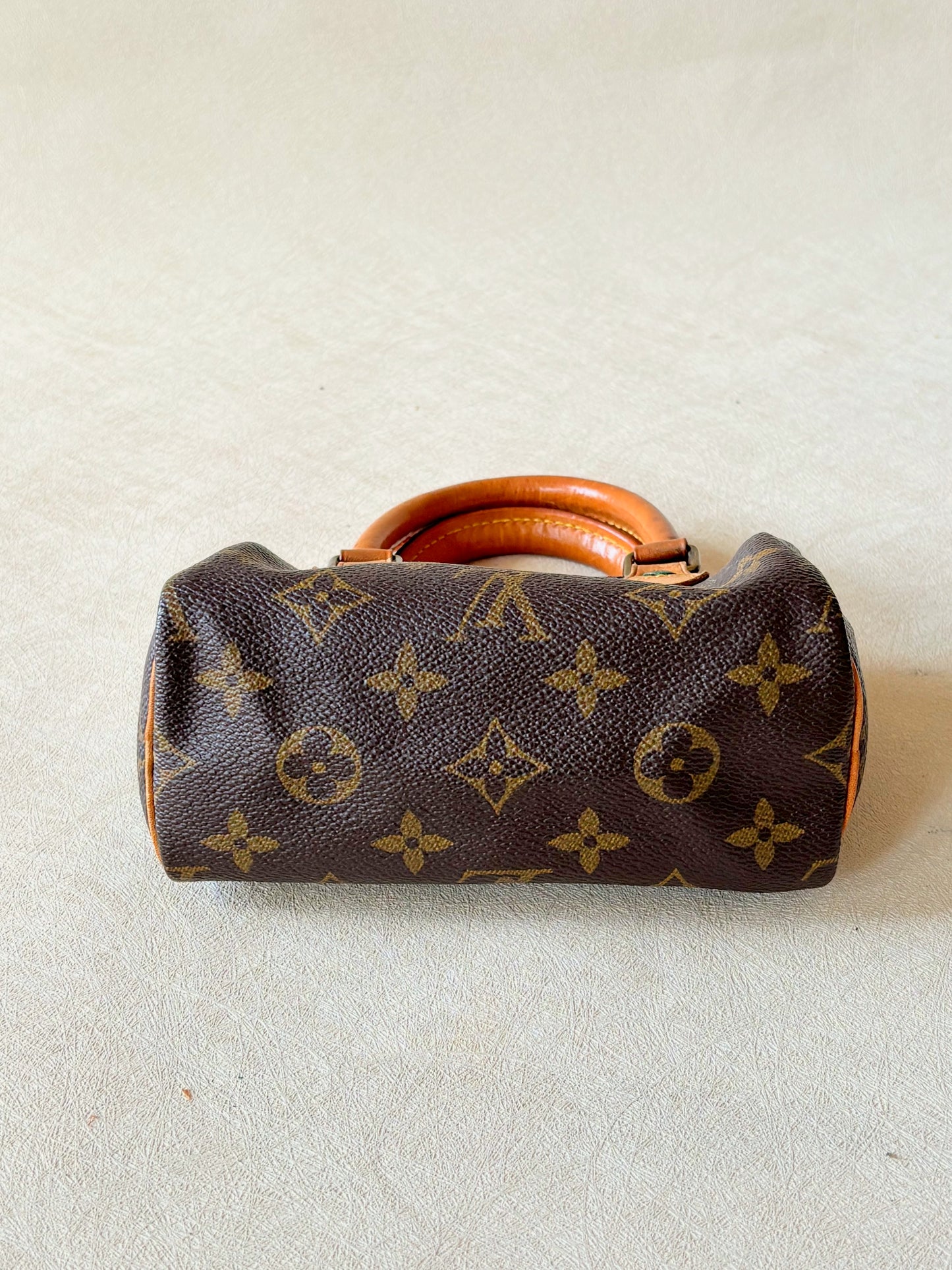 LOUIS VUITTON Nano Speedy