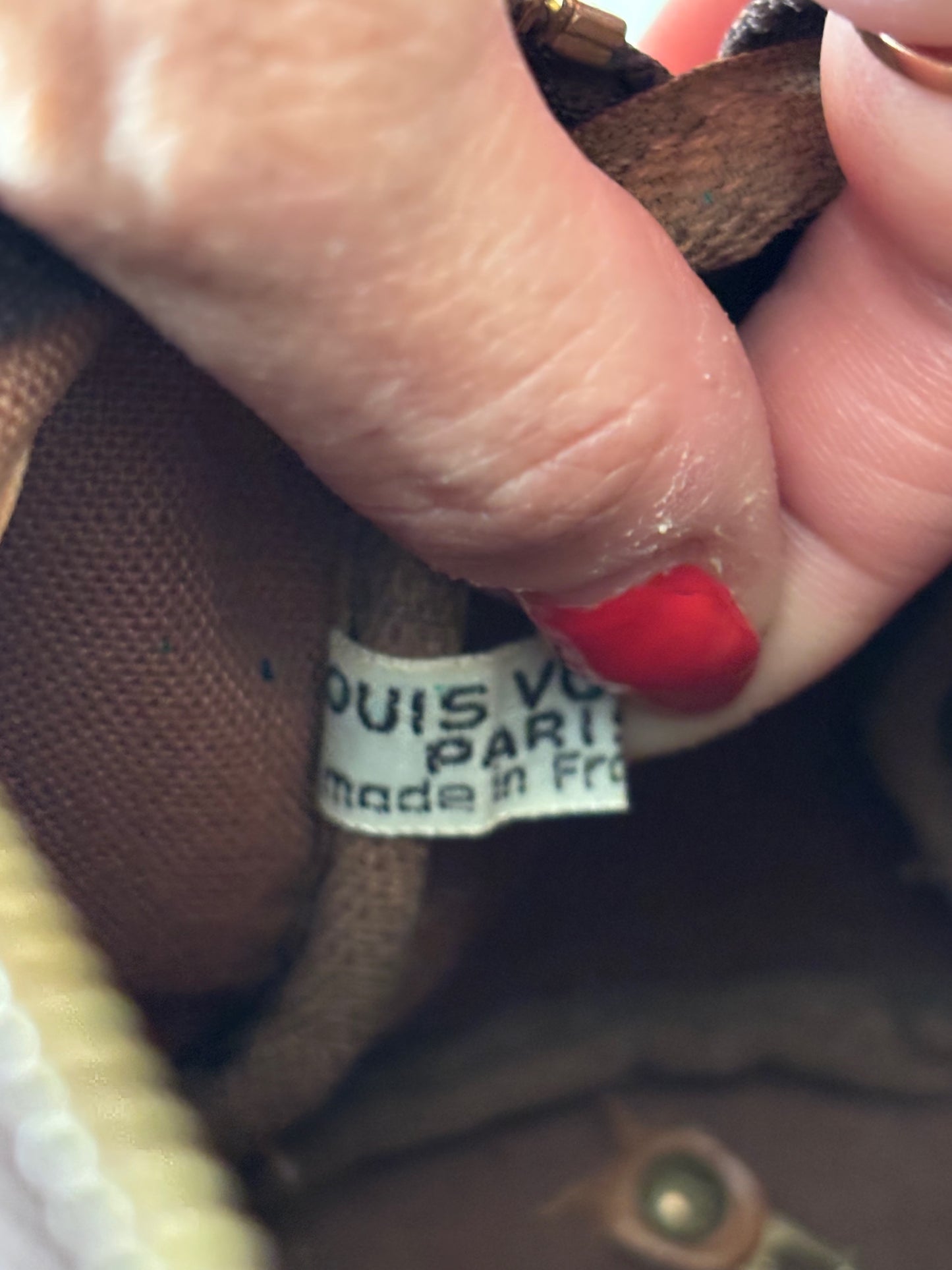 LOUIS VUITTON Nano Speedy