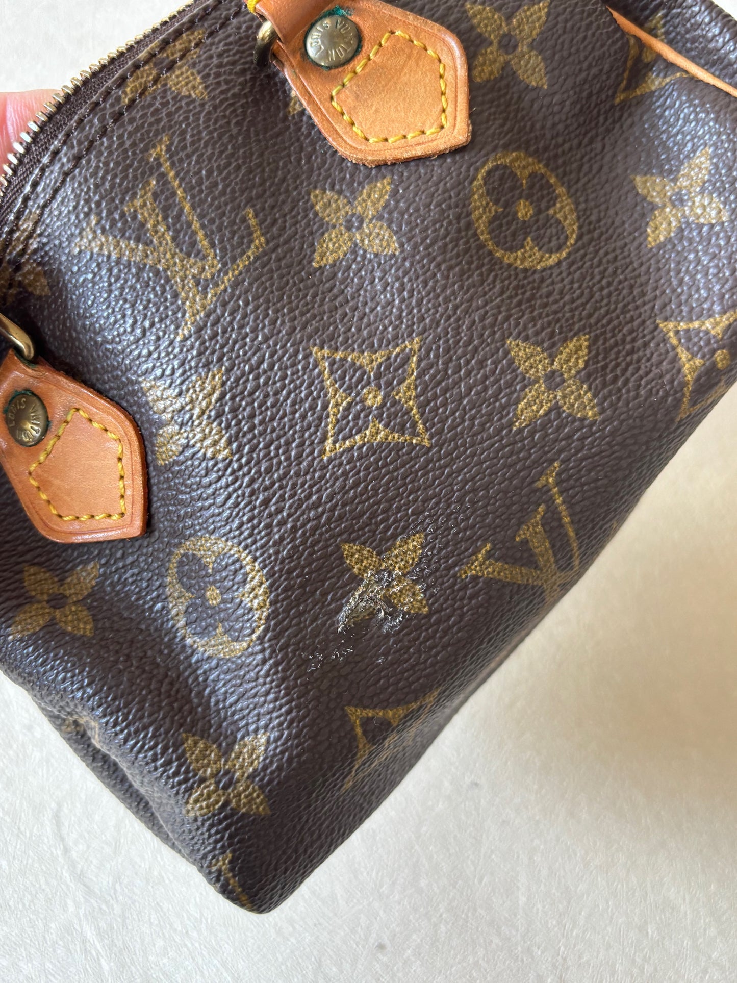 LOUIS VUITTON Nano Speedy