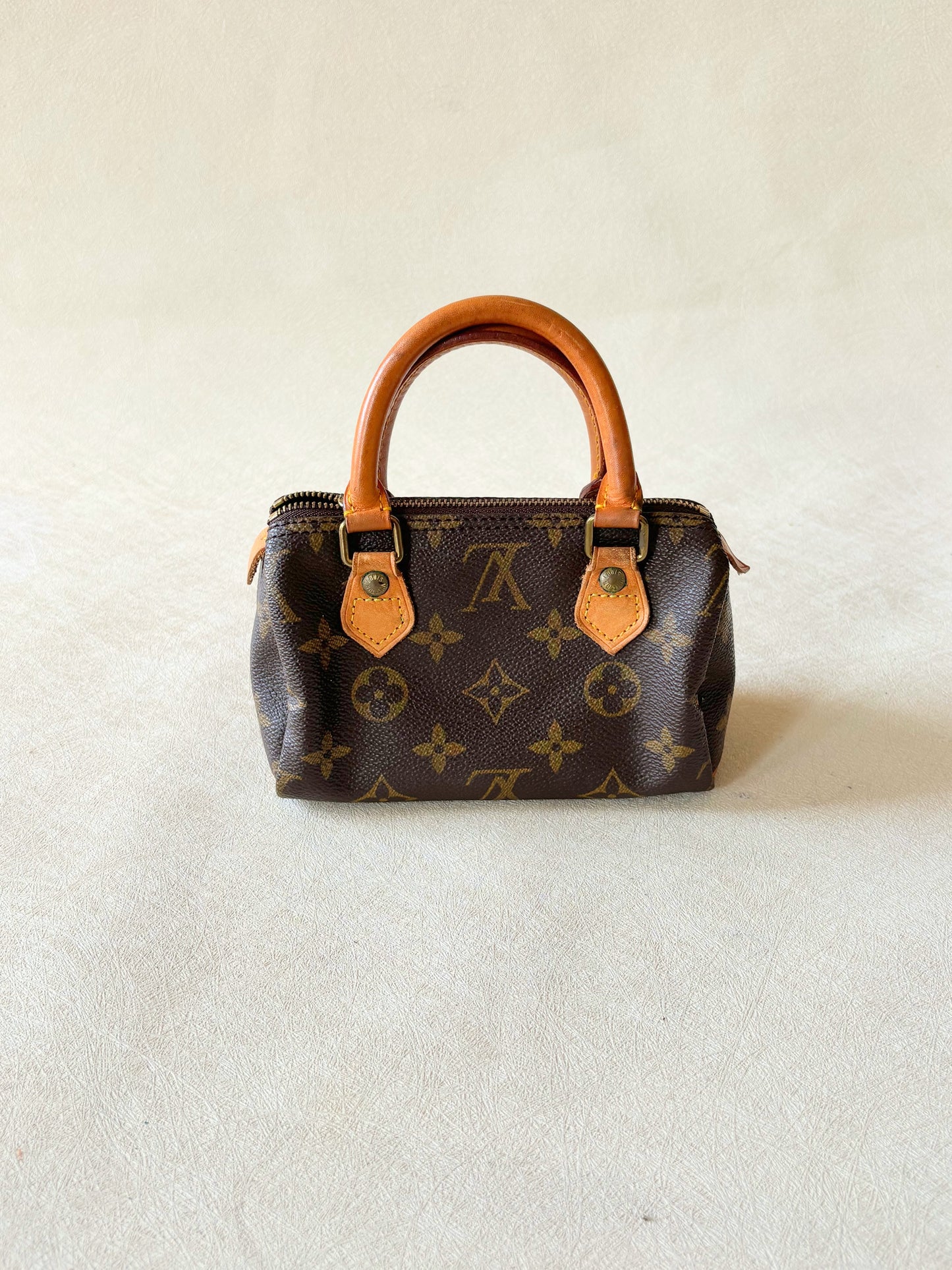 LOUIS VUITTON Nano Speedy