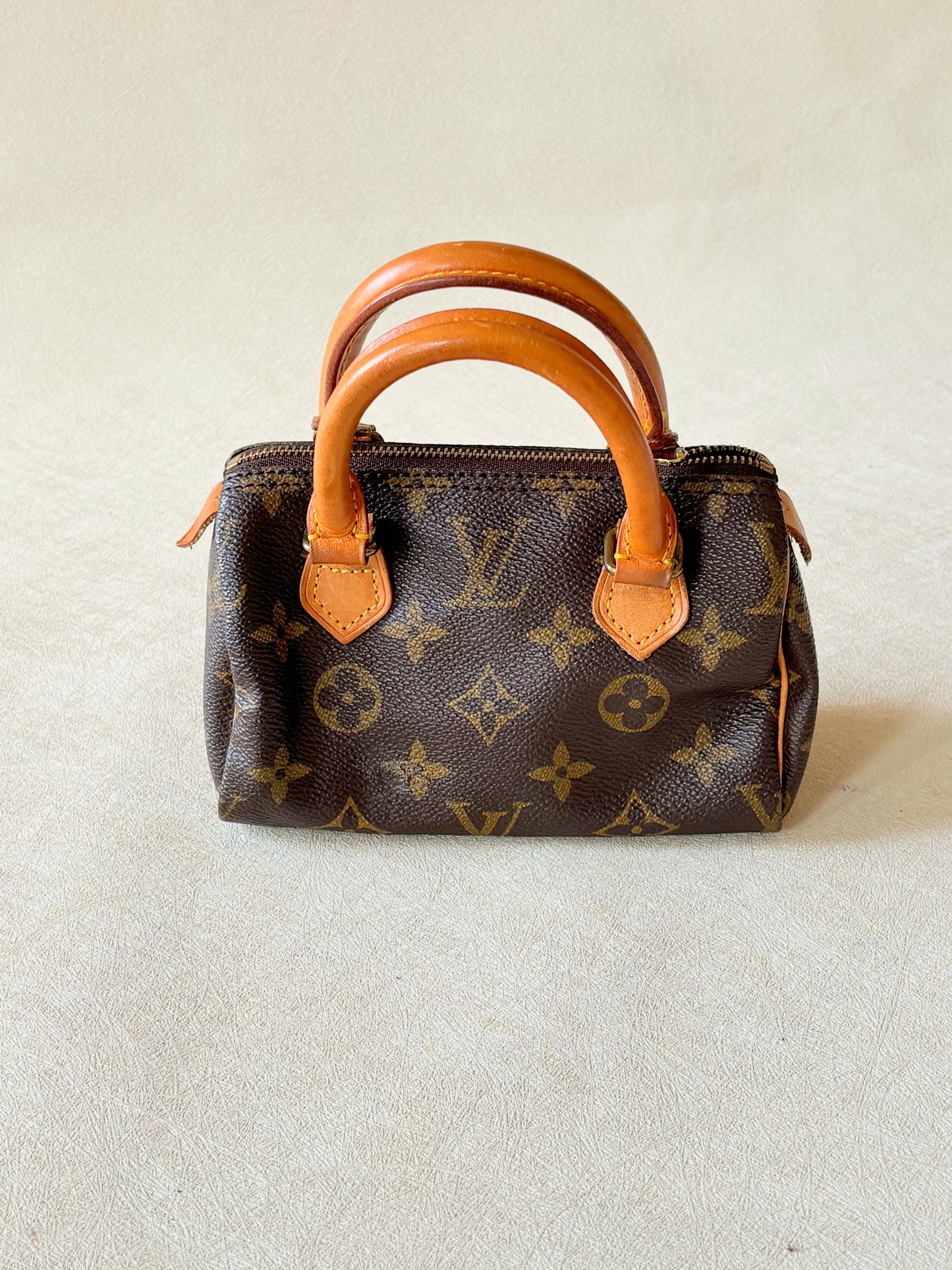LOUIS VUITTON Nano Speedy