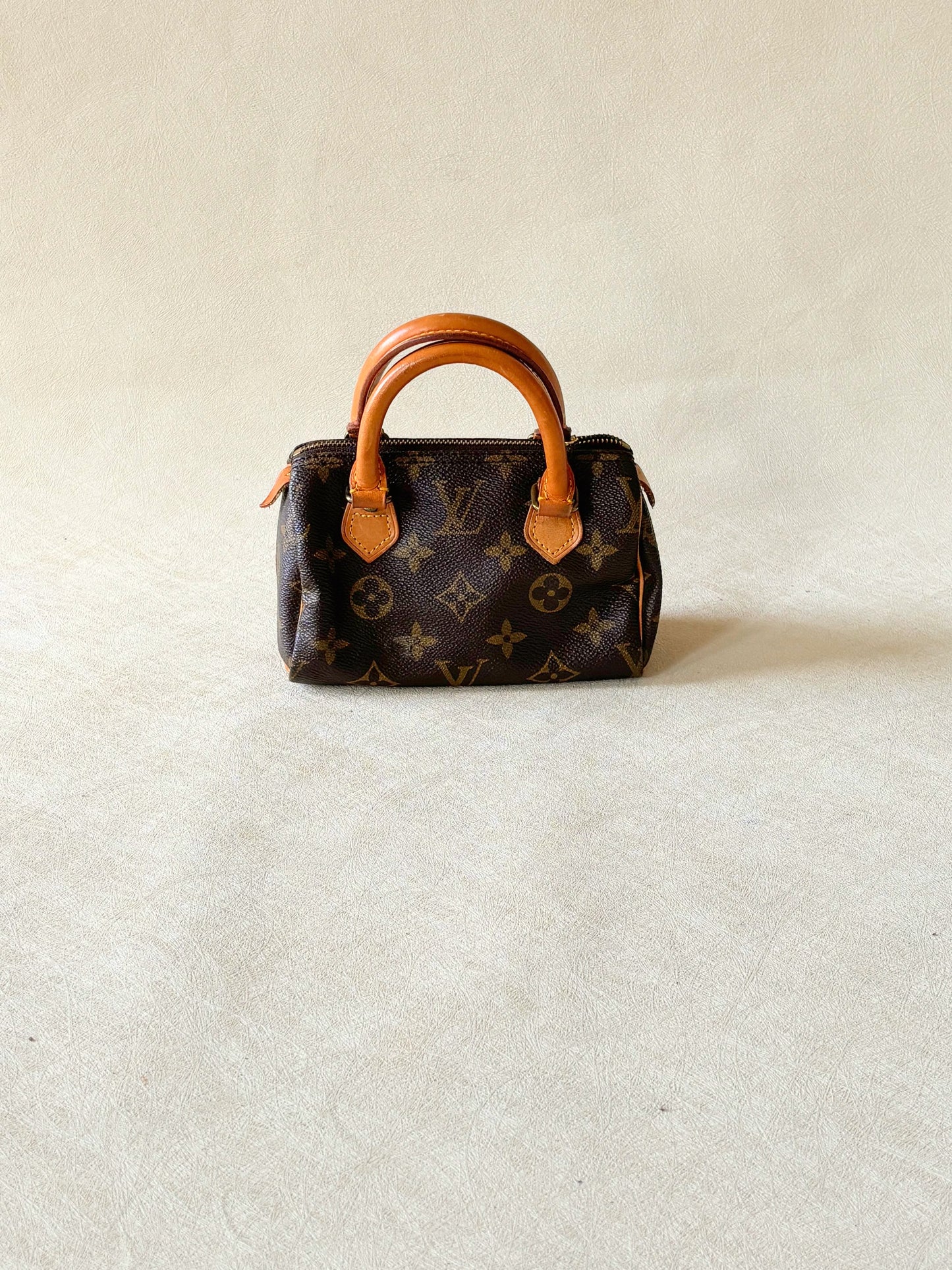 LOUIS VUITTON Nano Speedy