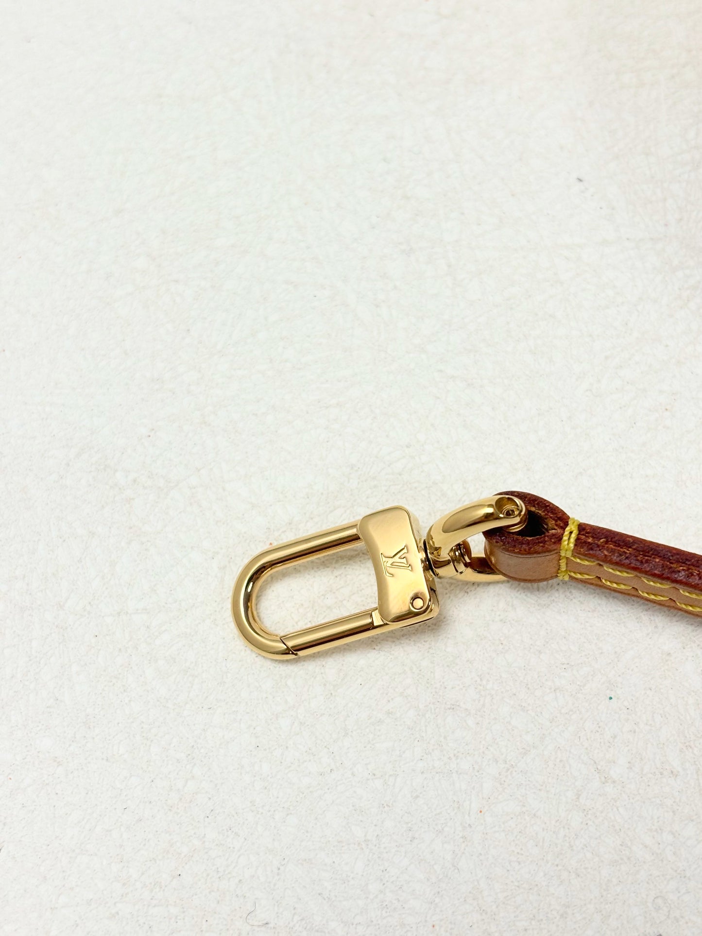 LOUIS VUITTON Bandoulière cuir