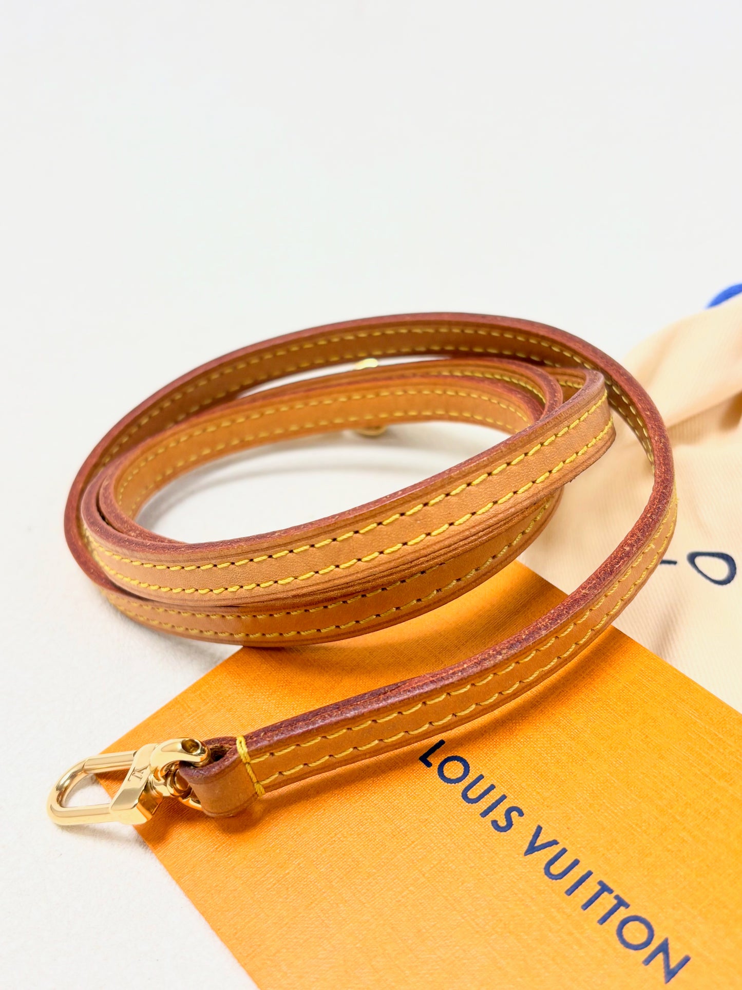 LOUIS VUITTON Bandoulière cuir