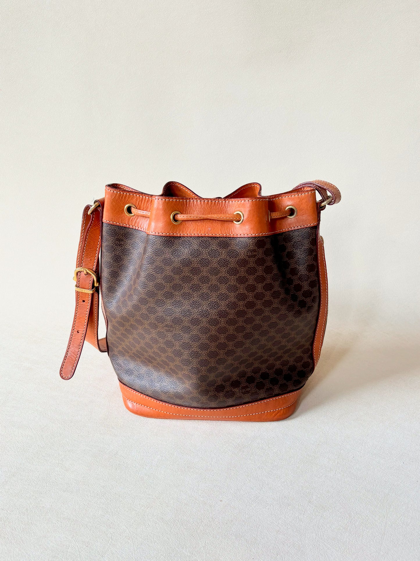 CÉLINE Sac Seau Triomphe