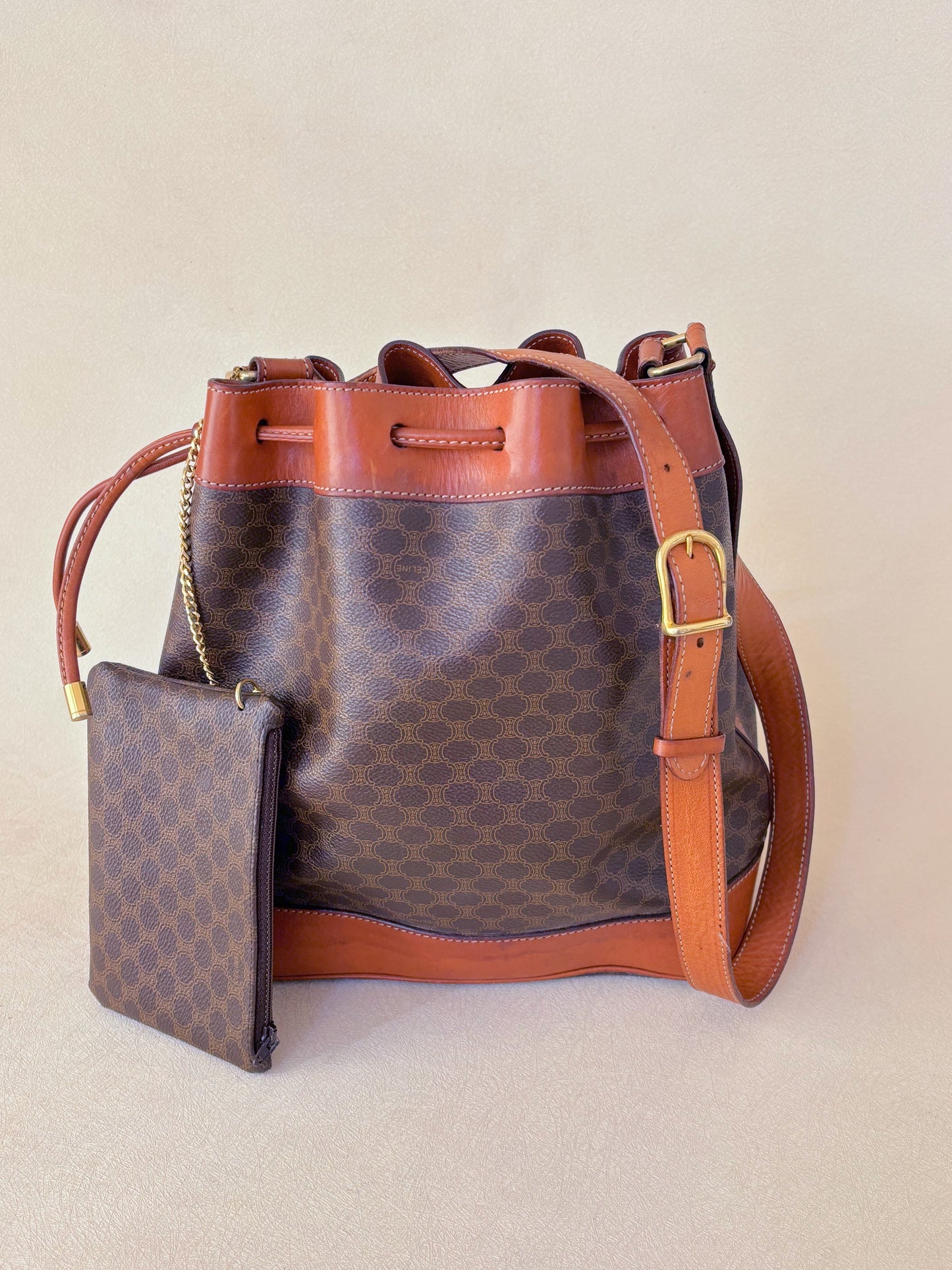 CÉLINE Sac Seau Triomphe