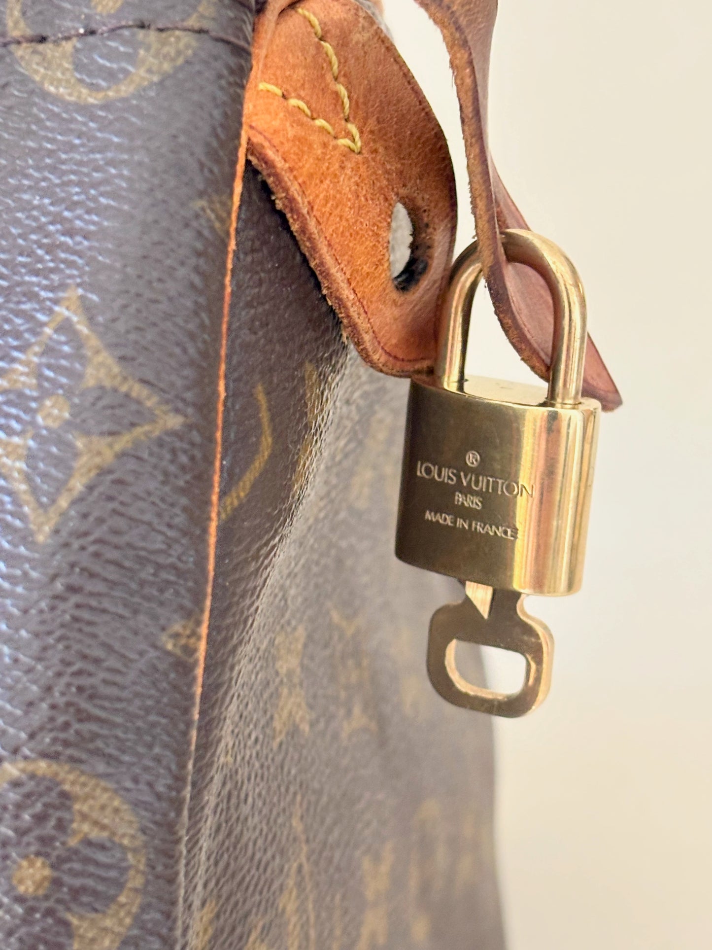 LOUIS VUITTON Speedy 35