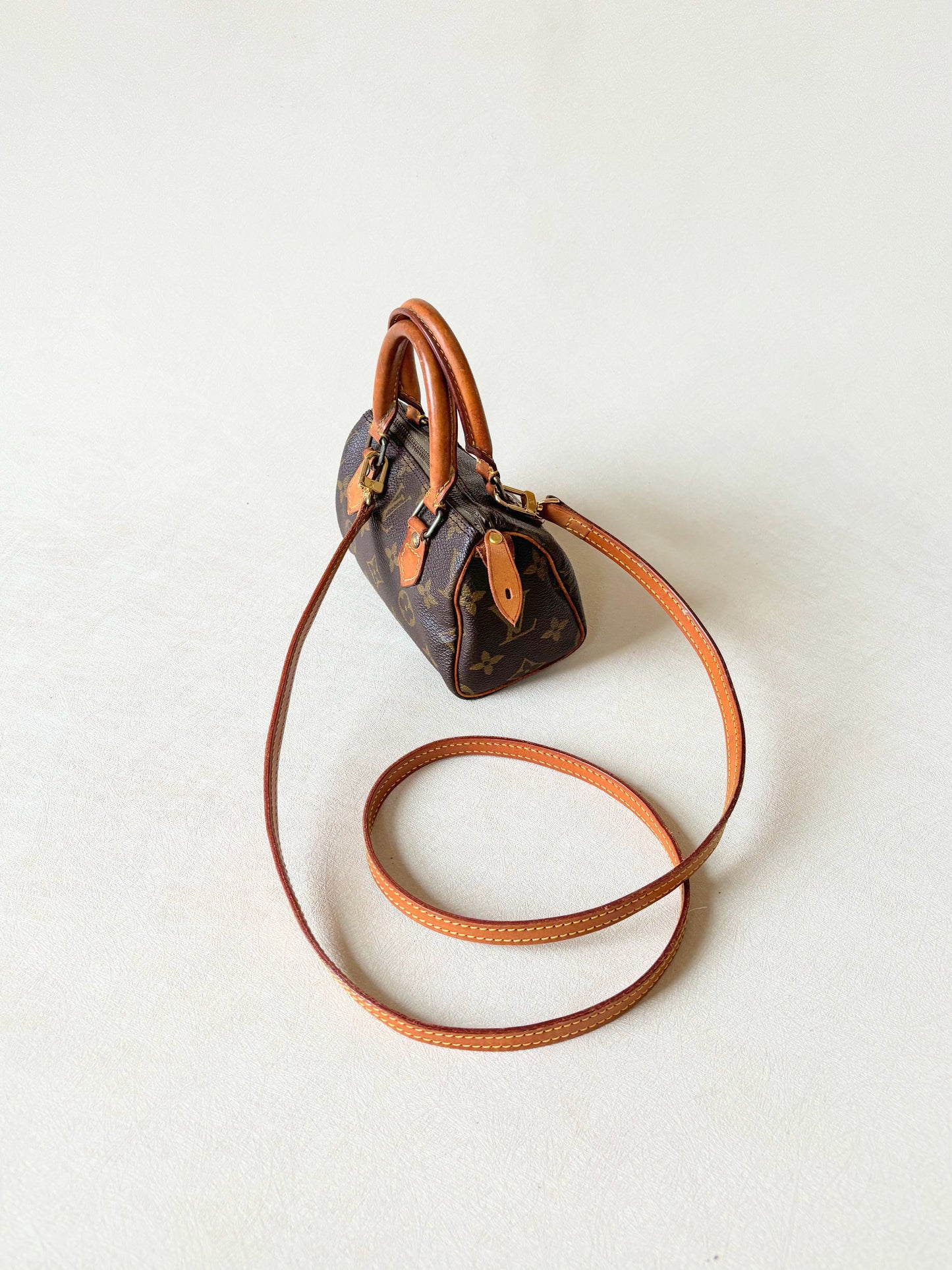 LOUIS VUITTON Nano Speedy