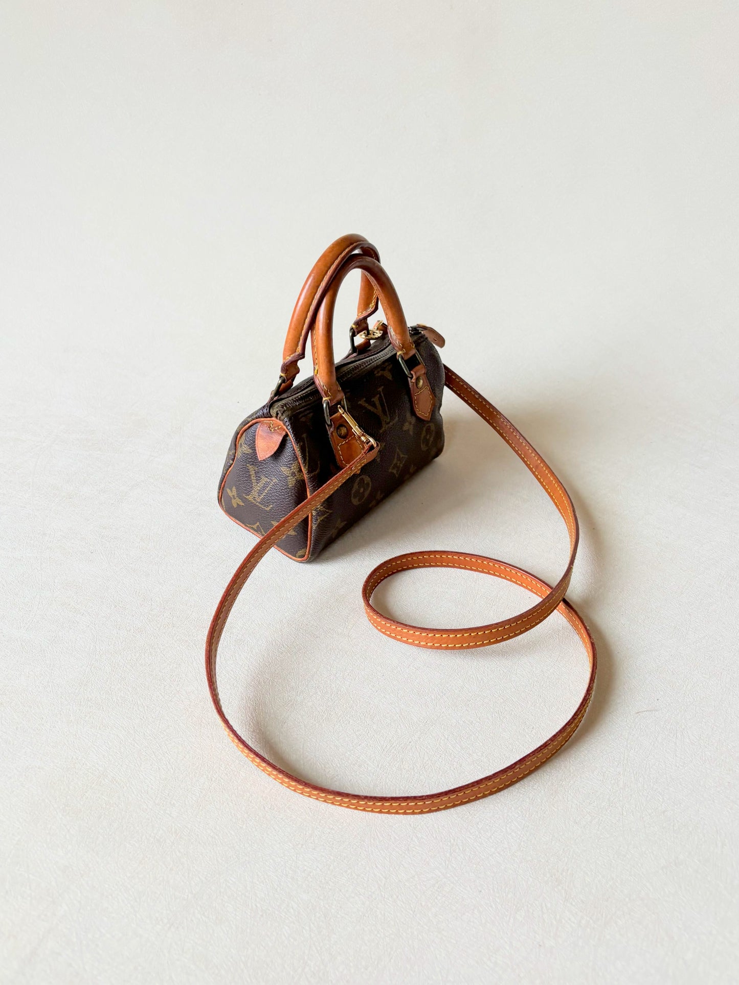 LOUIS VUITTON Nano Speedy