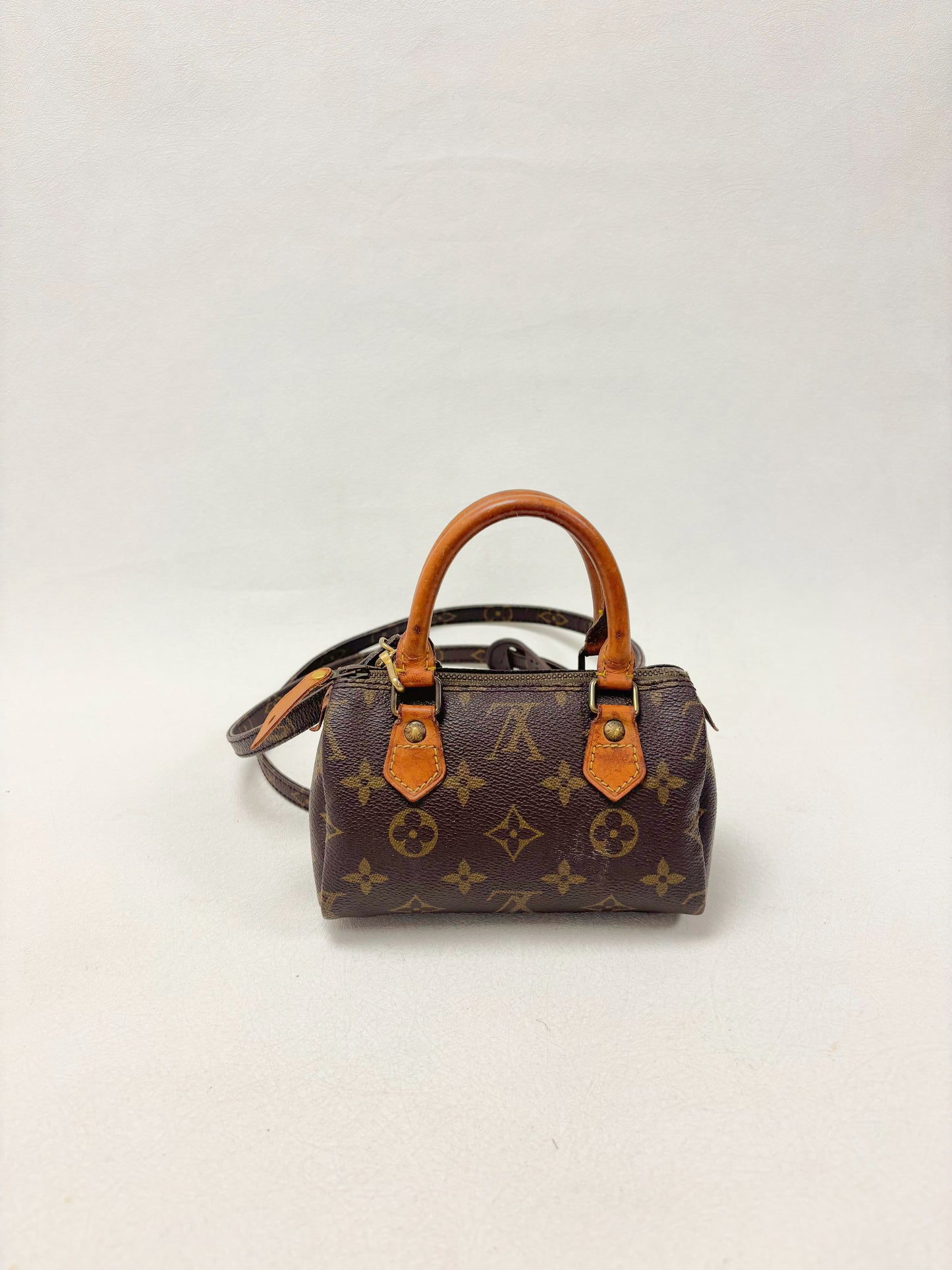 LOUIS VUITTON Nano Speedy