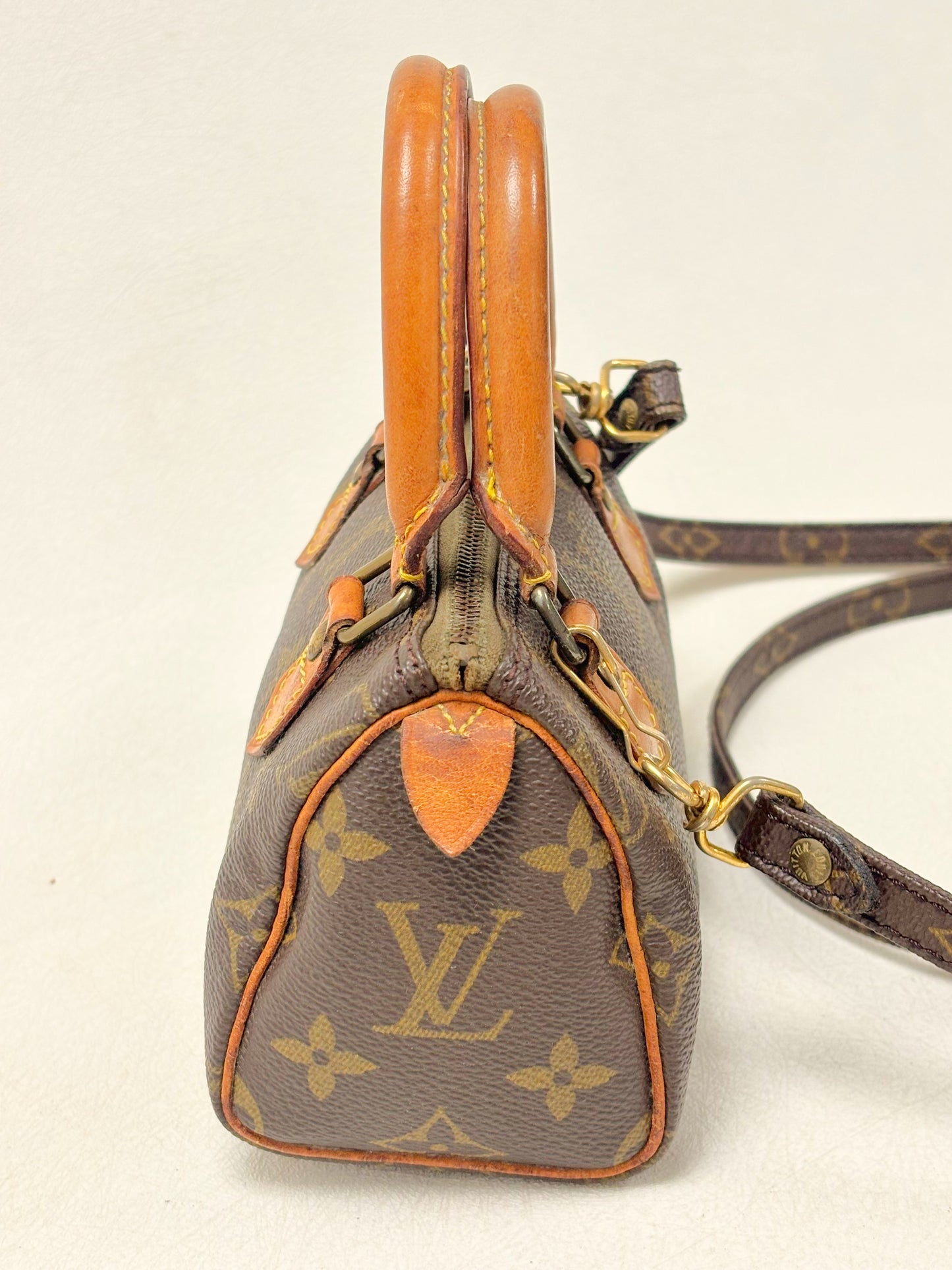 LOUIS VUITTON Nano Speedy