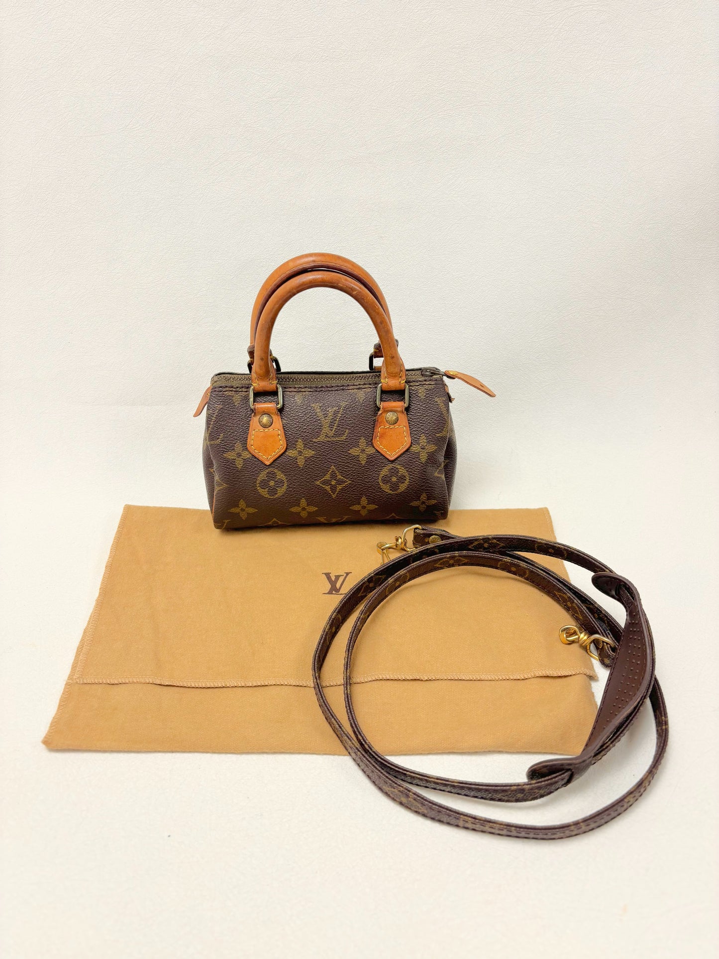 LOUIS VUITTON Nano Speedy