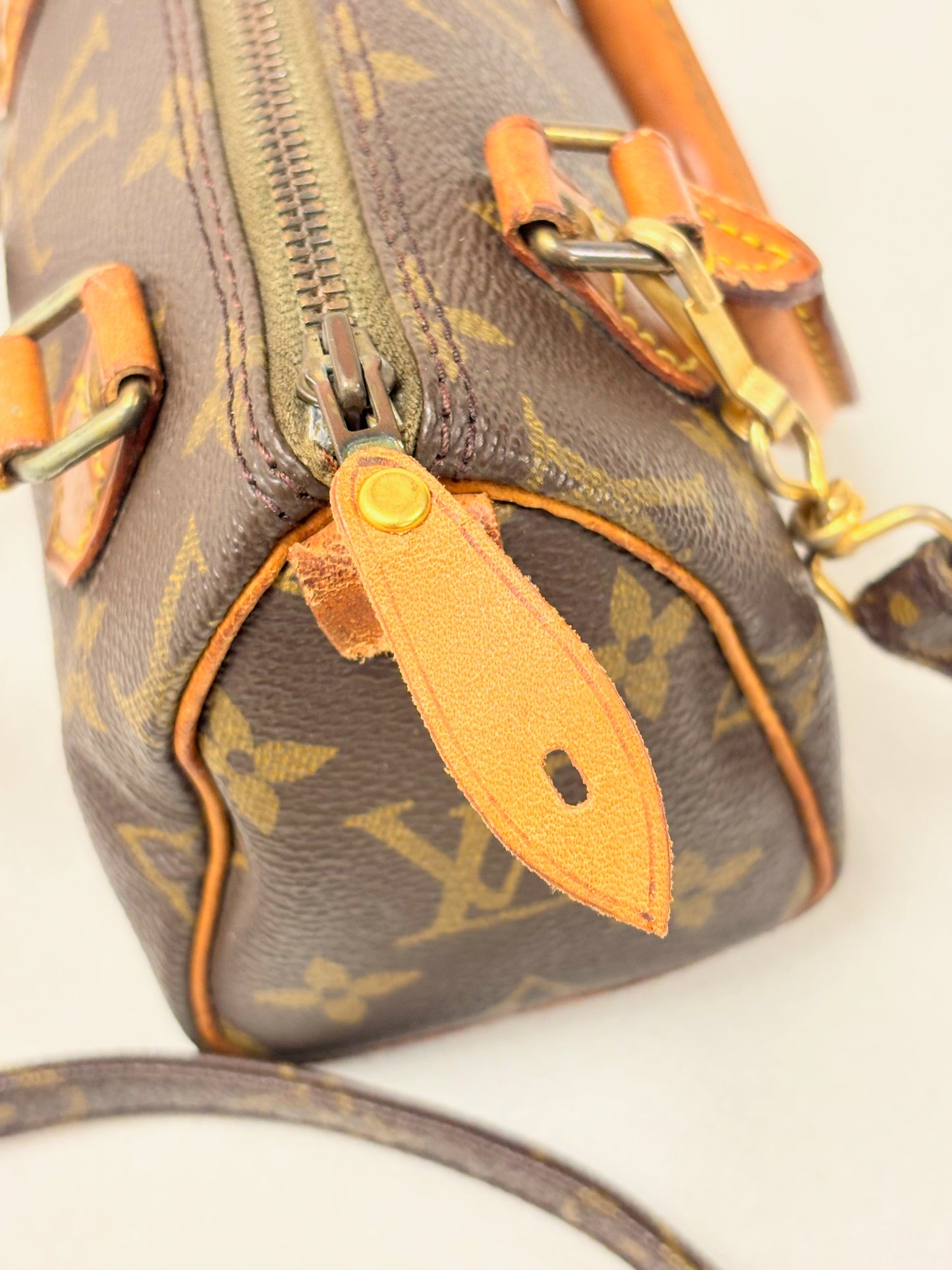 LOUIS VUITTON Nano Speedy