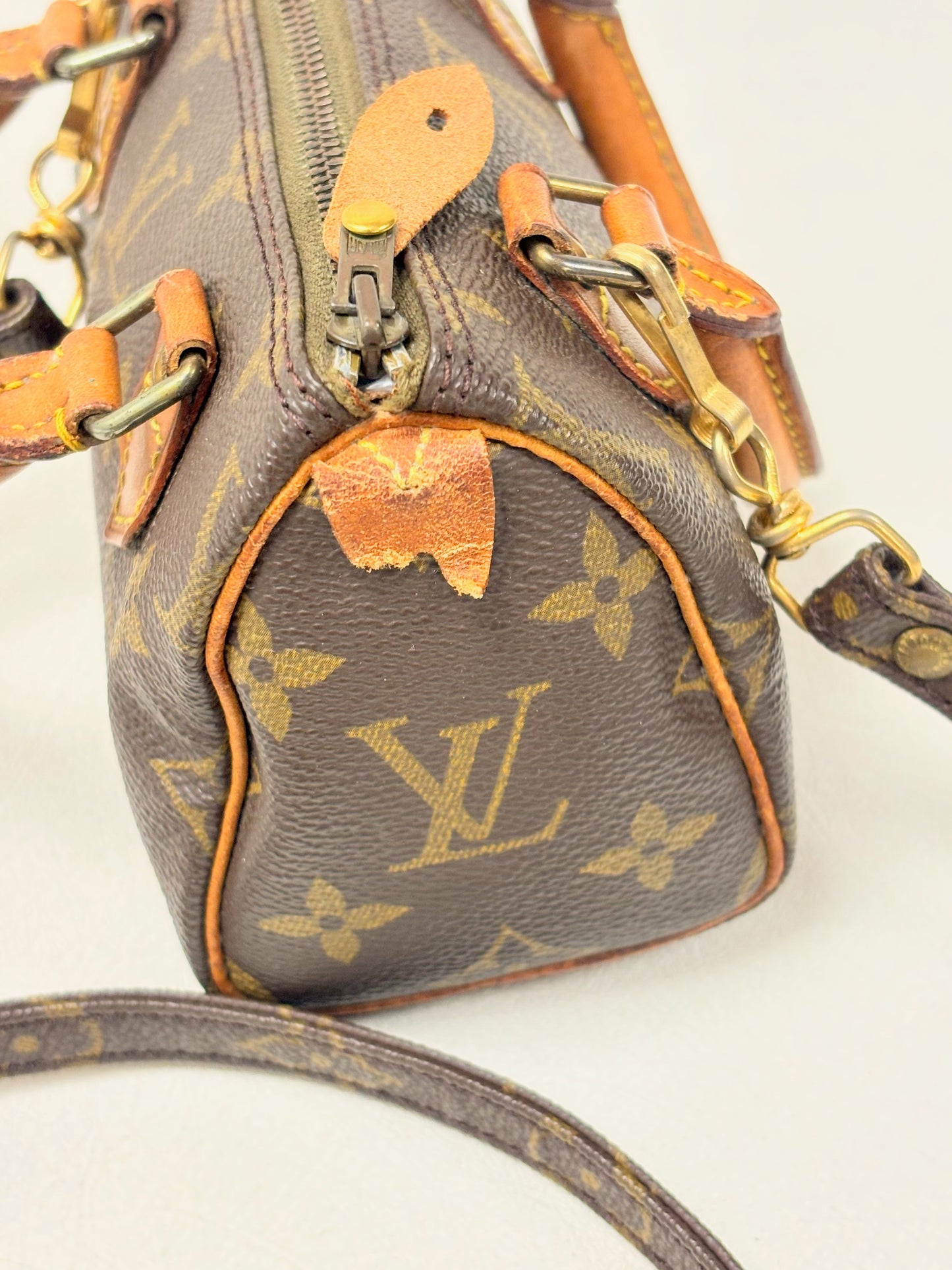 LOUIS VUITTON Nano Speedy
