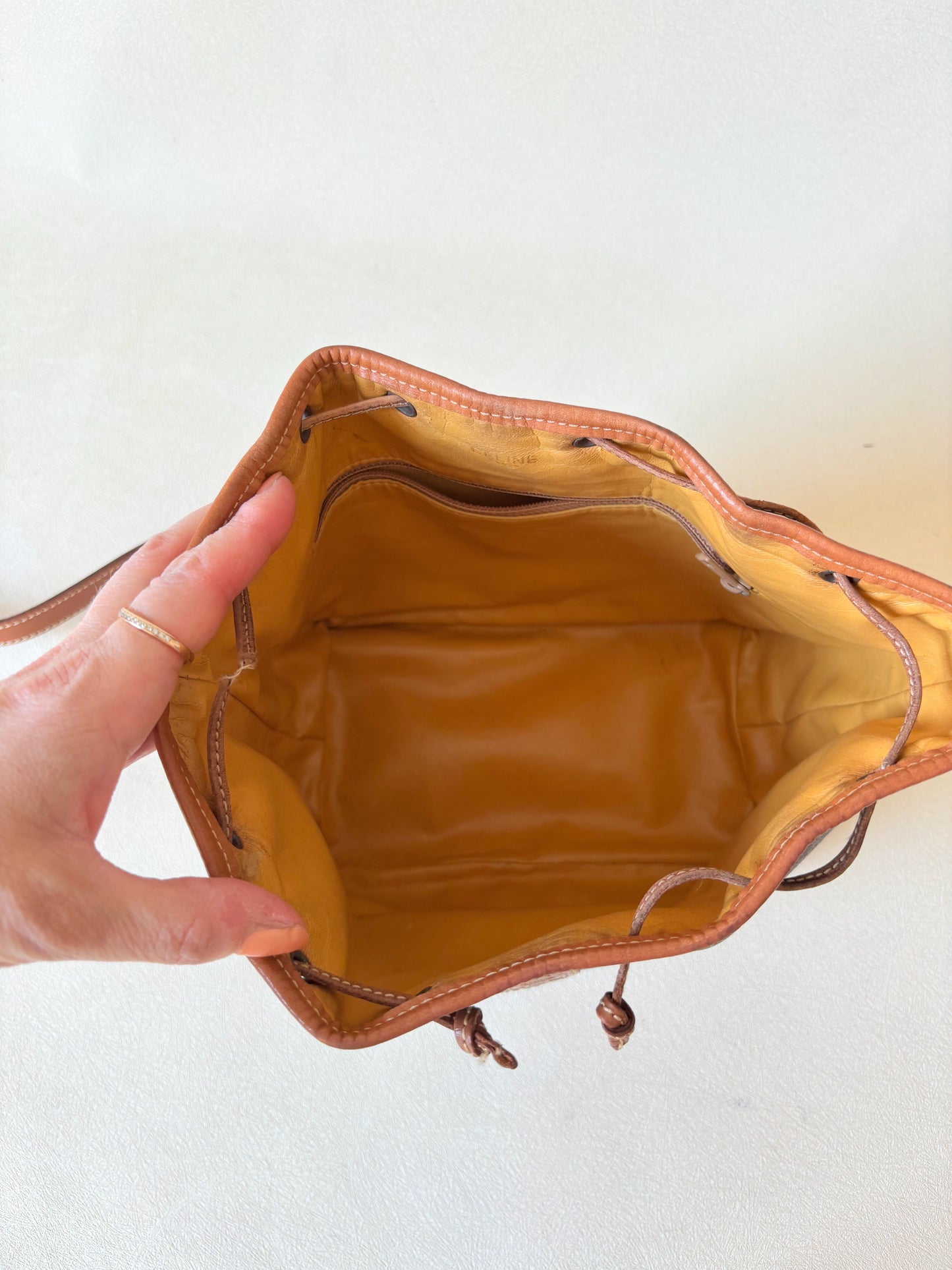 CÉLINE Sac Seau Triomphe PM