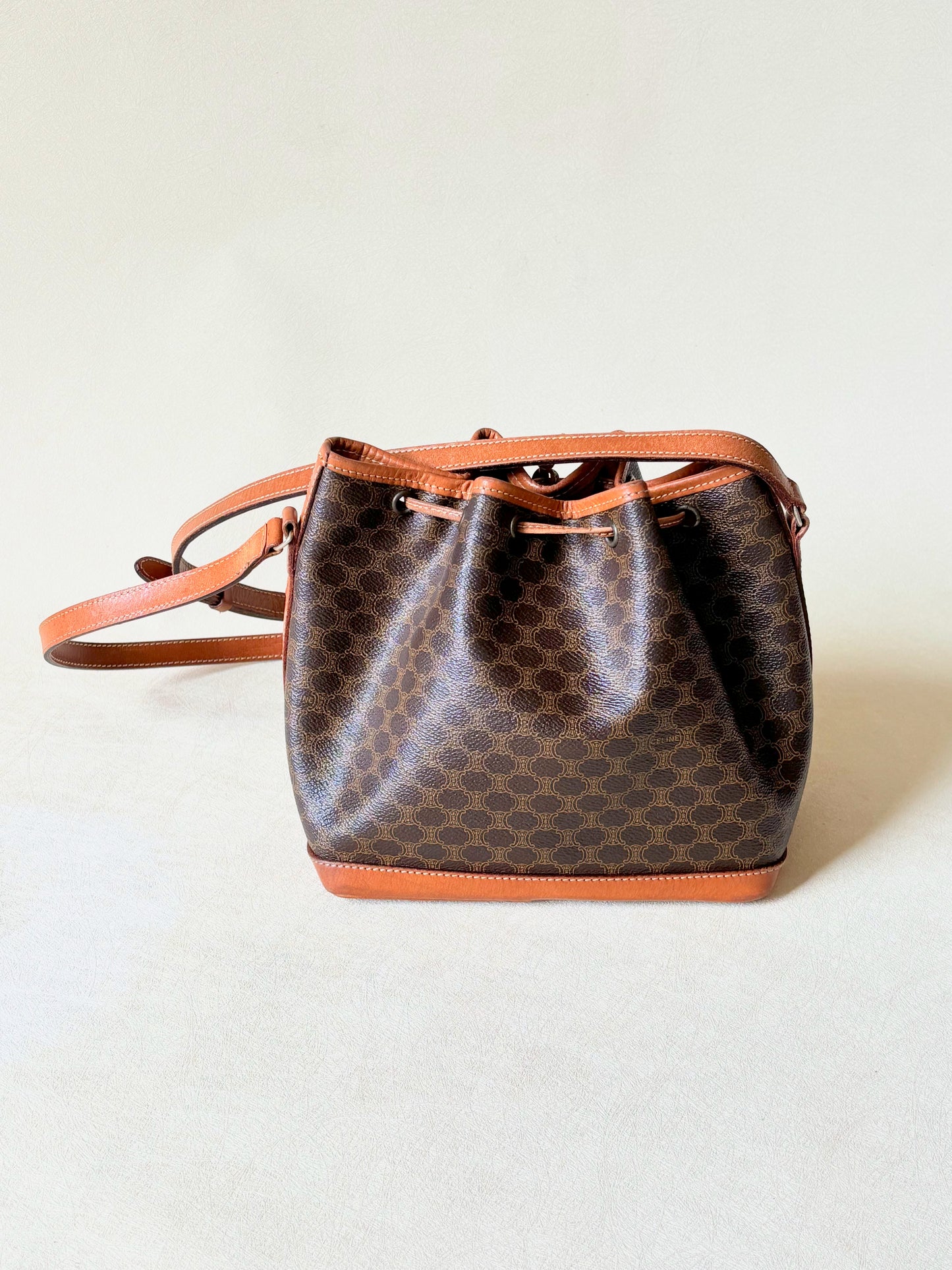 CÉLINE Sac Seau Triomphe PM